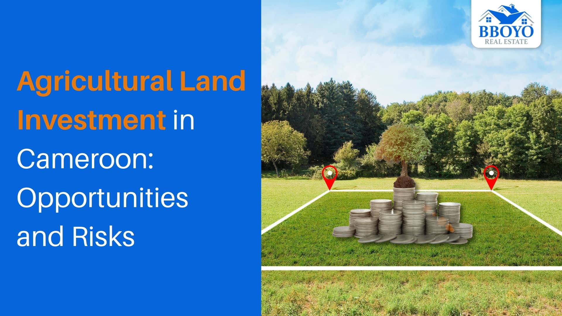 Agricultural Land Investment in Cameroon: Opportunities and Risks