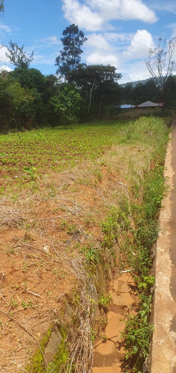 Affordable land in Bambui — photo 5