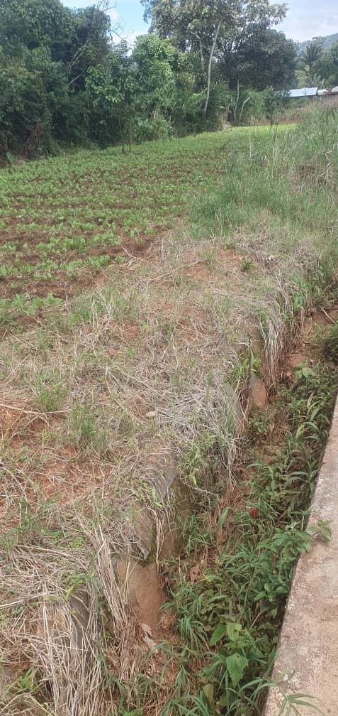 Affordable land in Bambui — photo 7