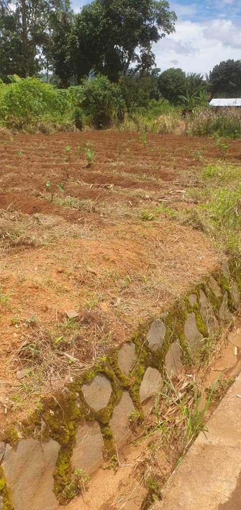 Land For sale — photo 2
