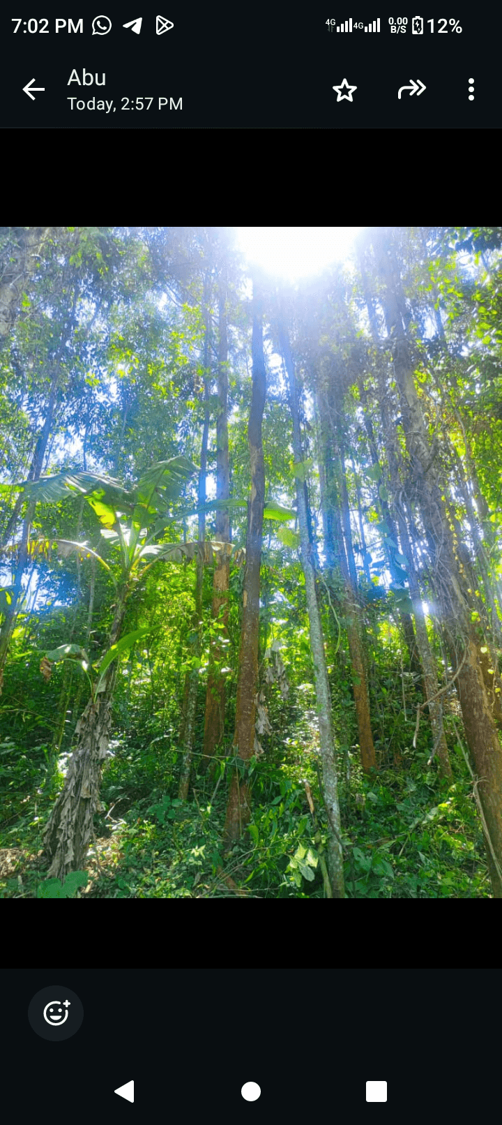 Plot for sale at bambui 
