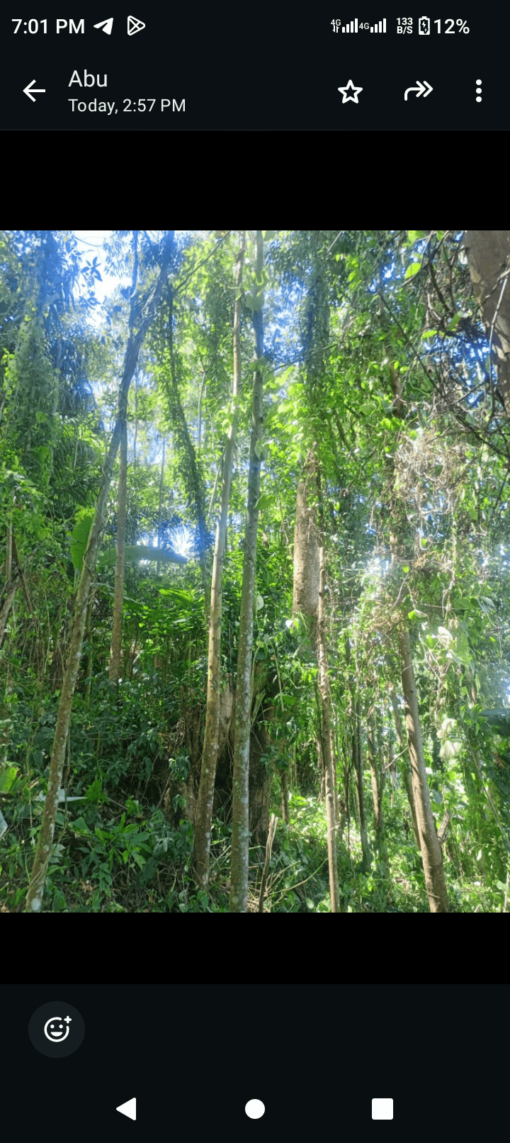 Plot for sale at bambui  — photo 3
