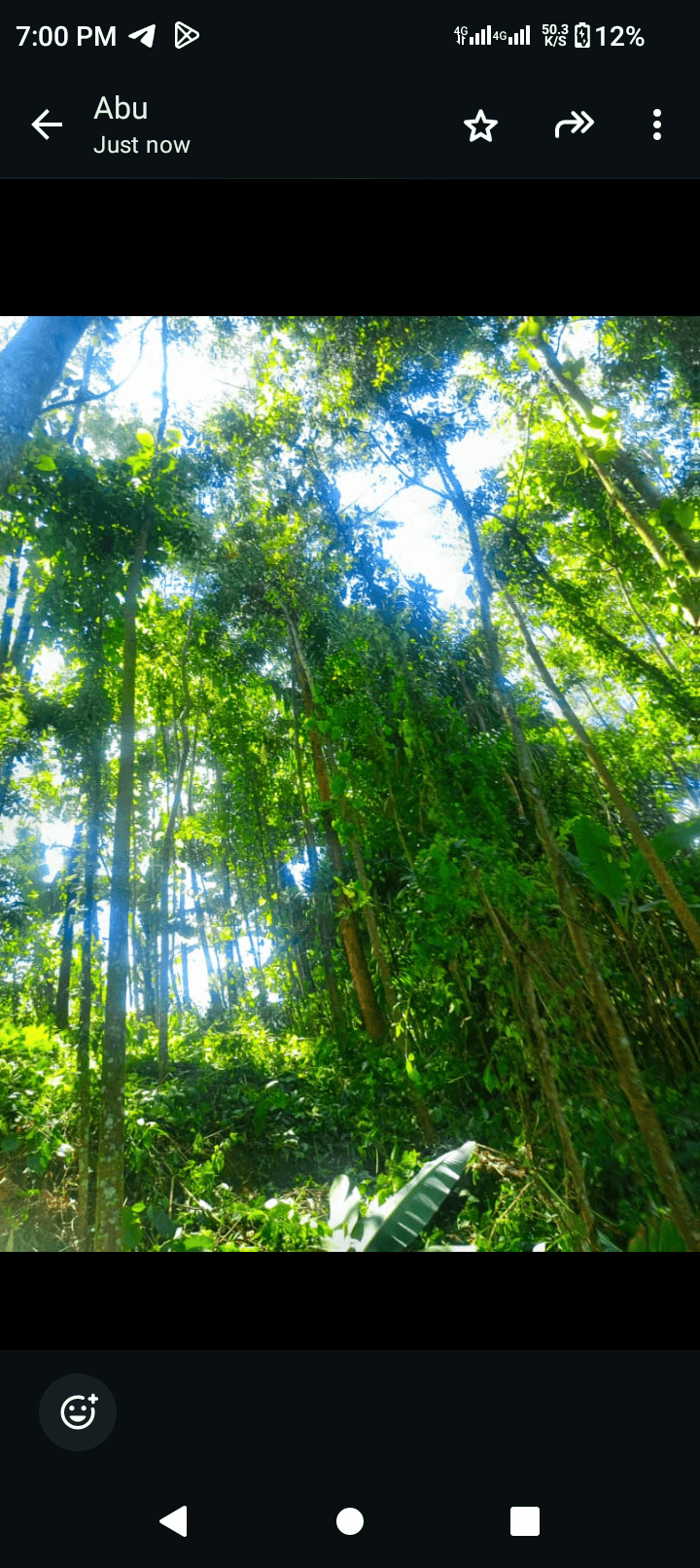 Plot for sale at bambui  — photo 4
