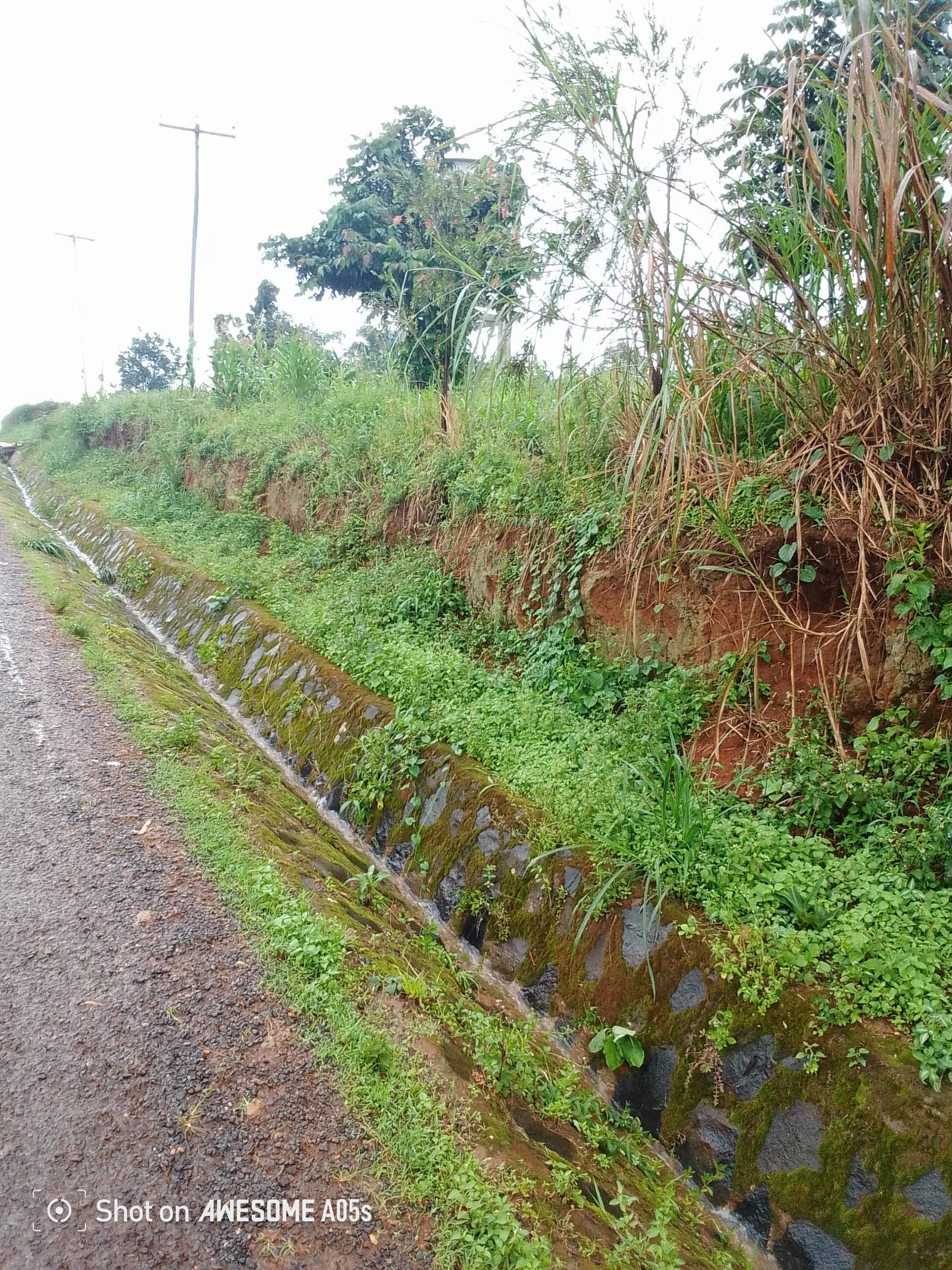 Affordable land at bamenda 3 council