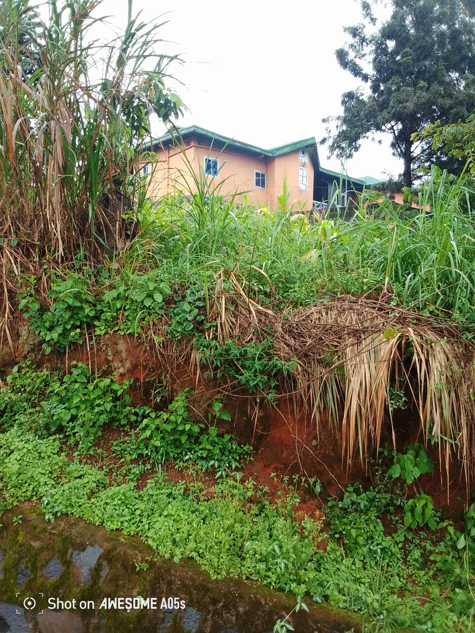 Affordable land at bamenda 3 council — photo 2