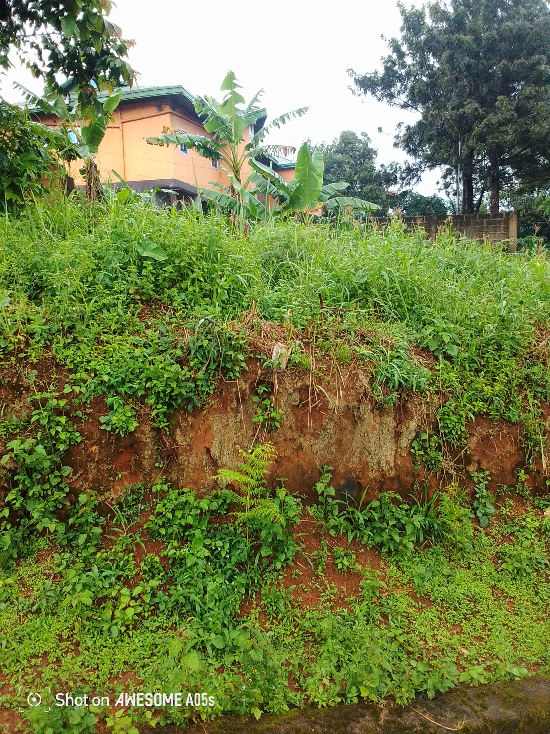 Affordable land at bamenda 3 council — photo 3