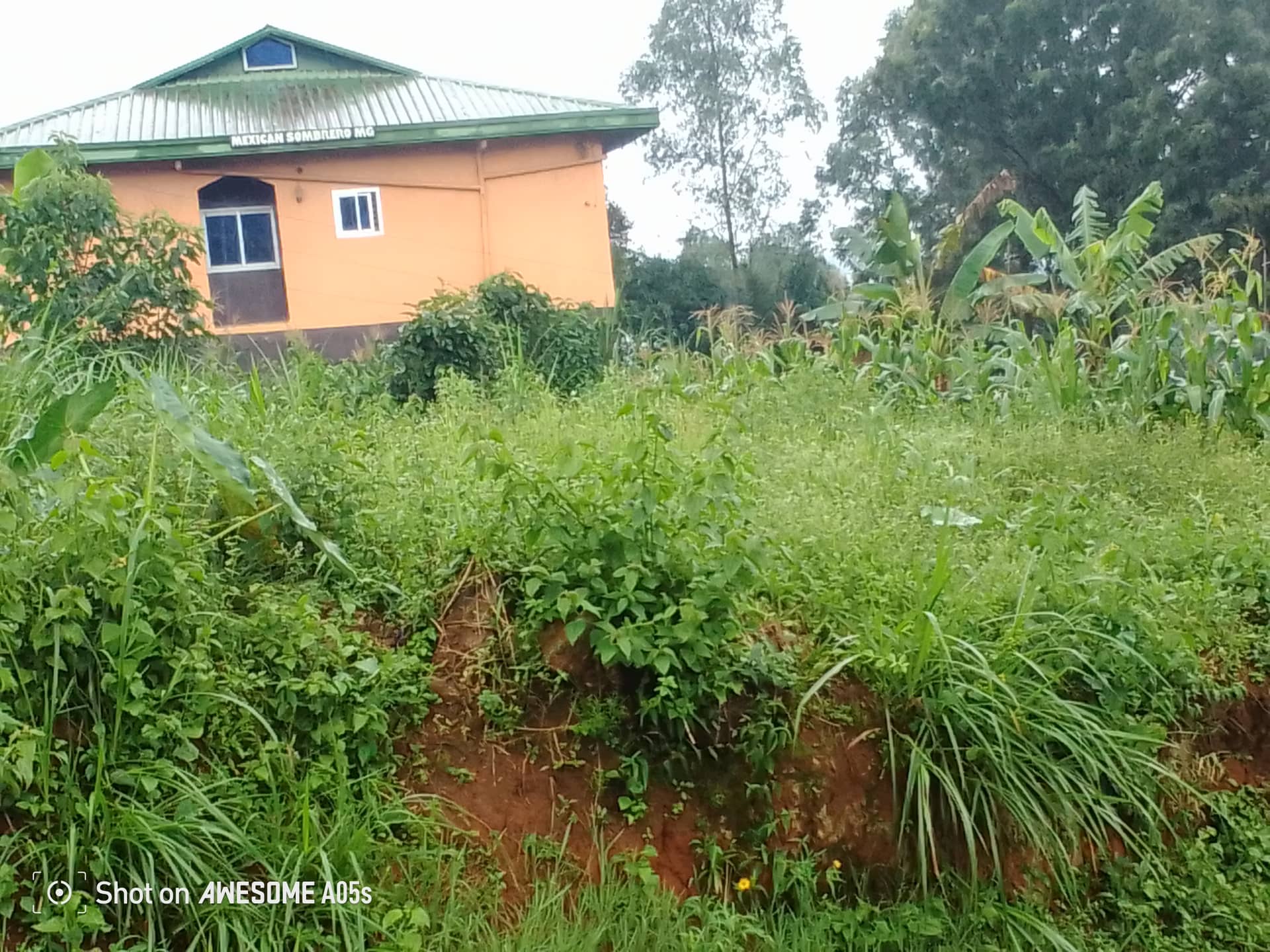 Affordable land at bamenda 3 council — photo 4