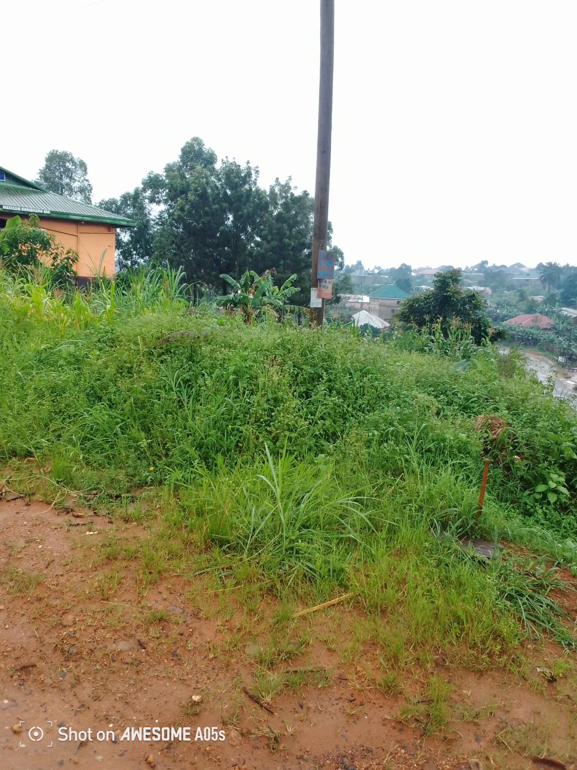 Affordable land at bamenda 3 council — photo 6