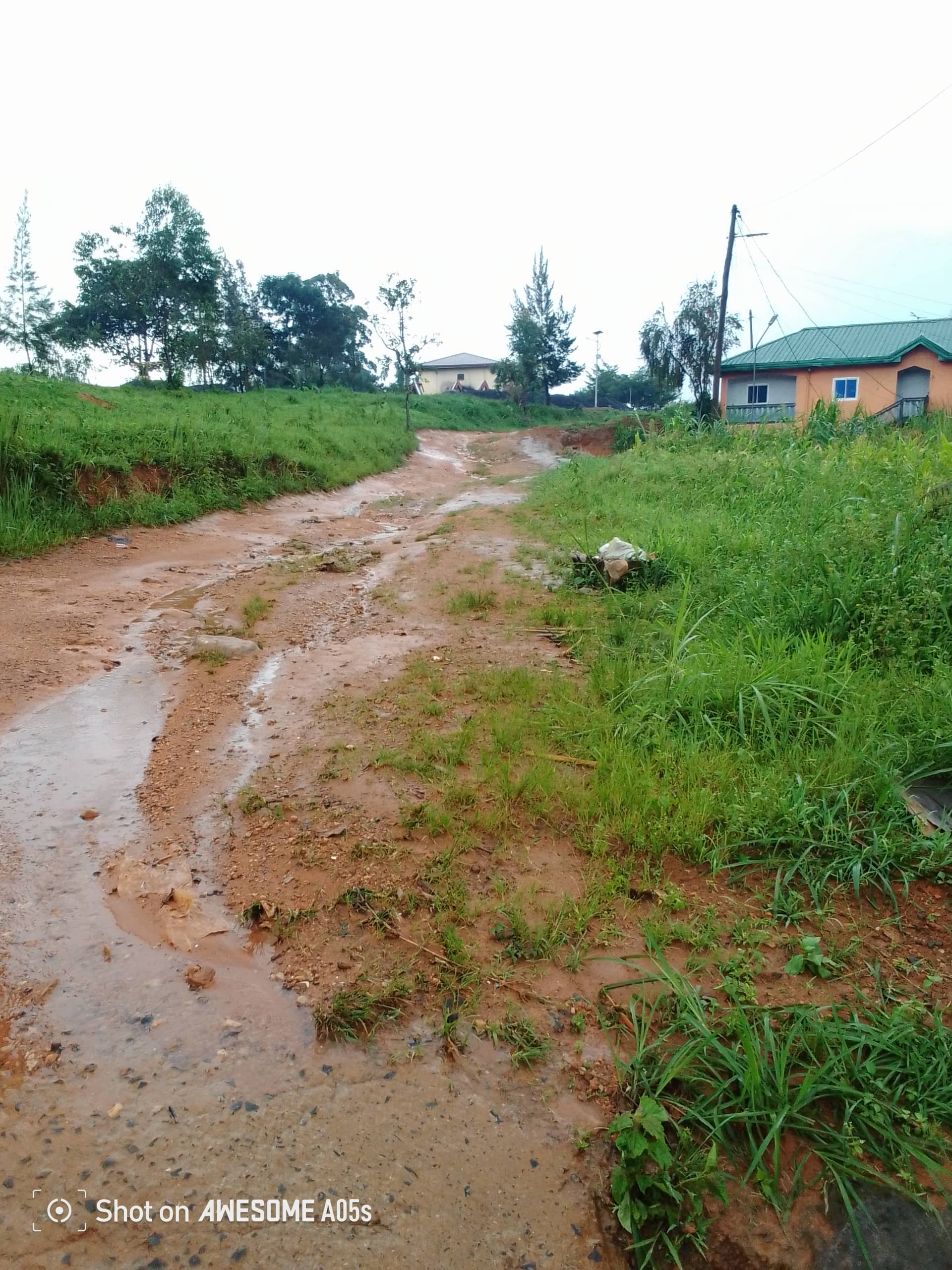 Affordable land at bamenda 3 council — photo 7