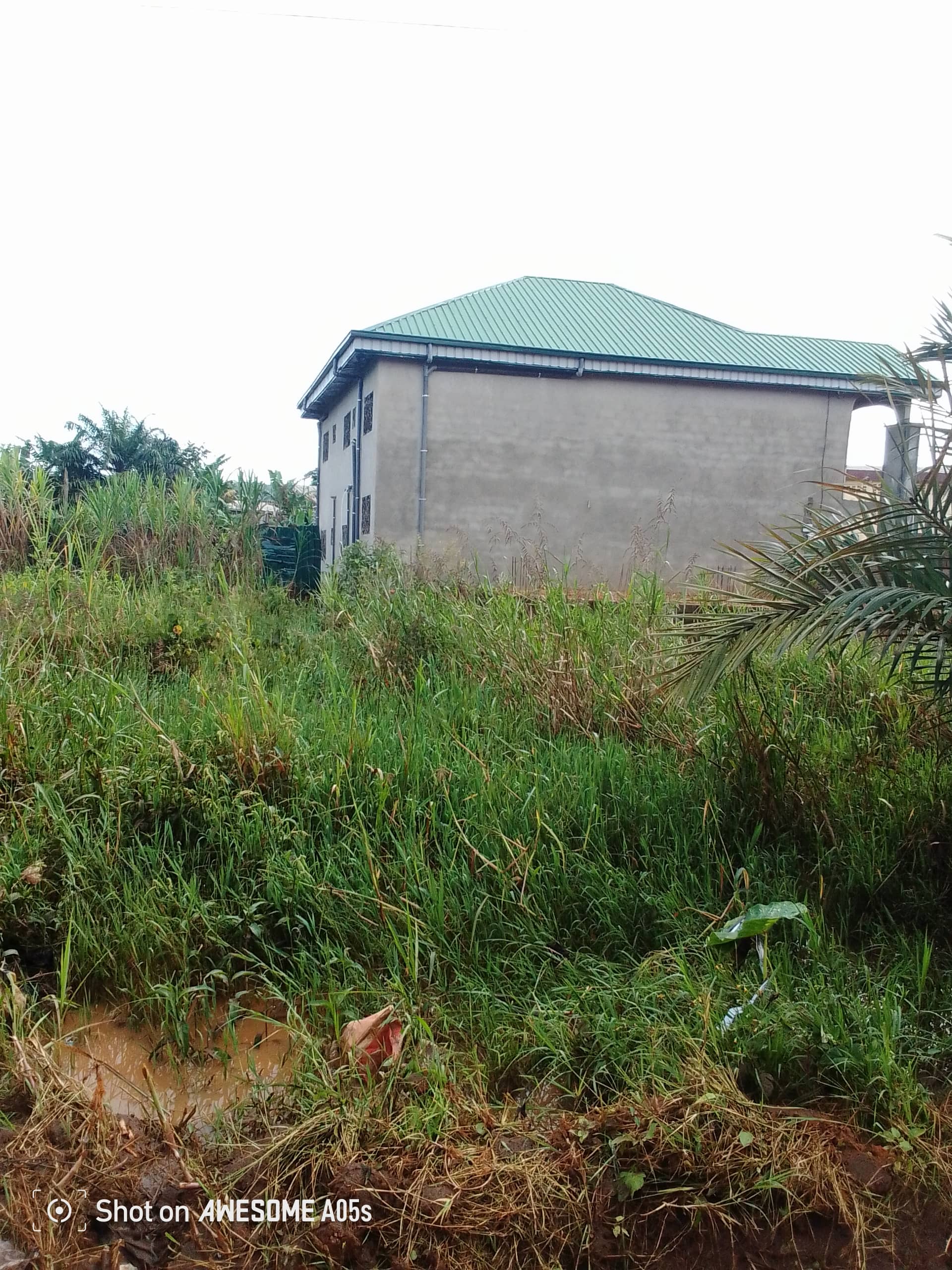 Affordable land at mile3 nkwen bamenda  — photo 4