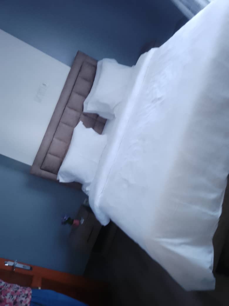 Luxury Guest House in Douala — photo 4