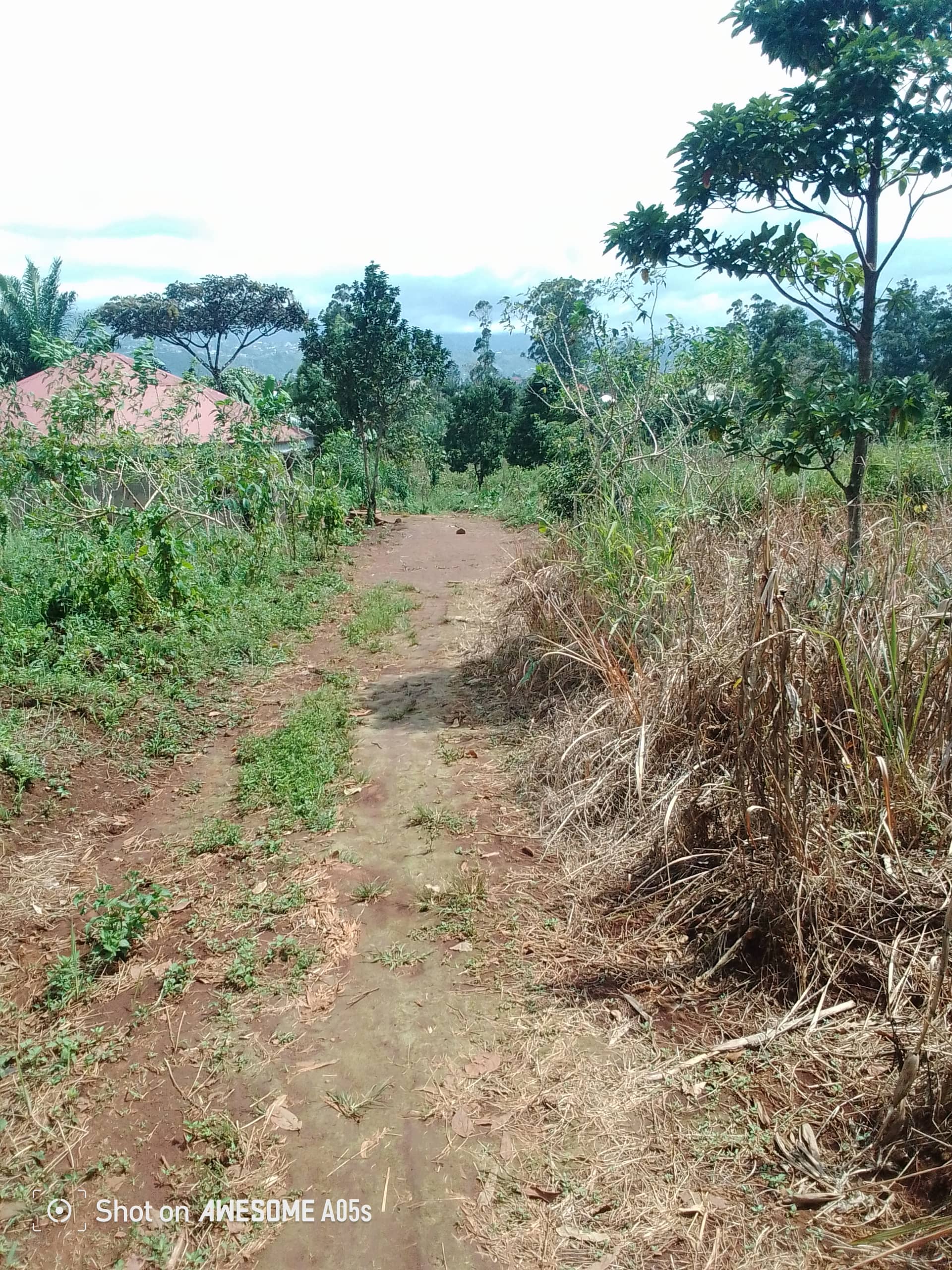 Cheap land for sale at mulang  — photo 3