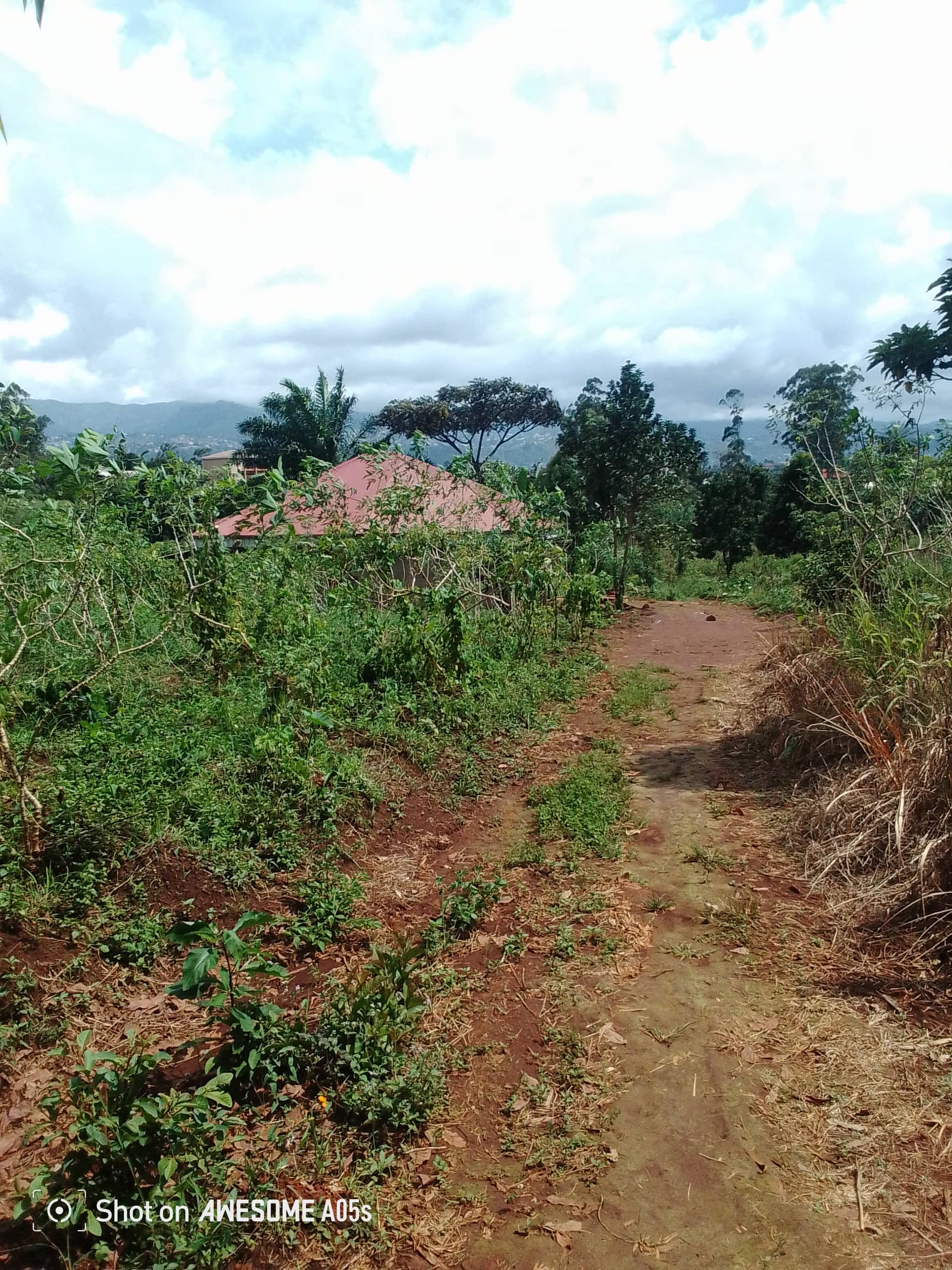 Cheap land for sale at mulang  — photo 4