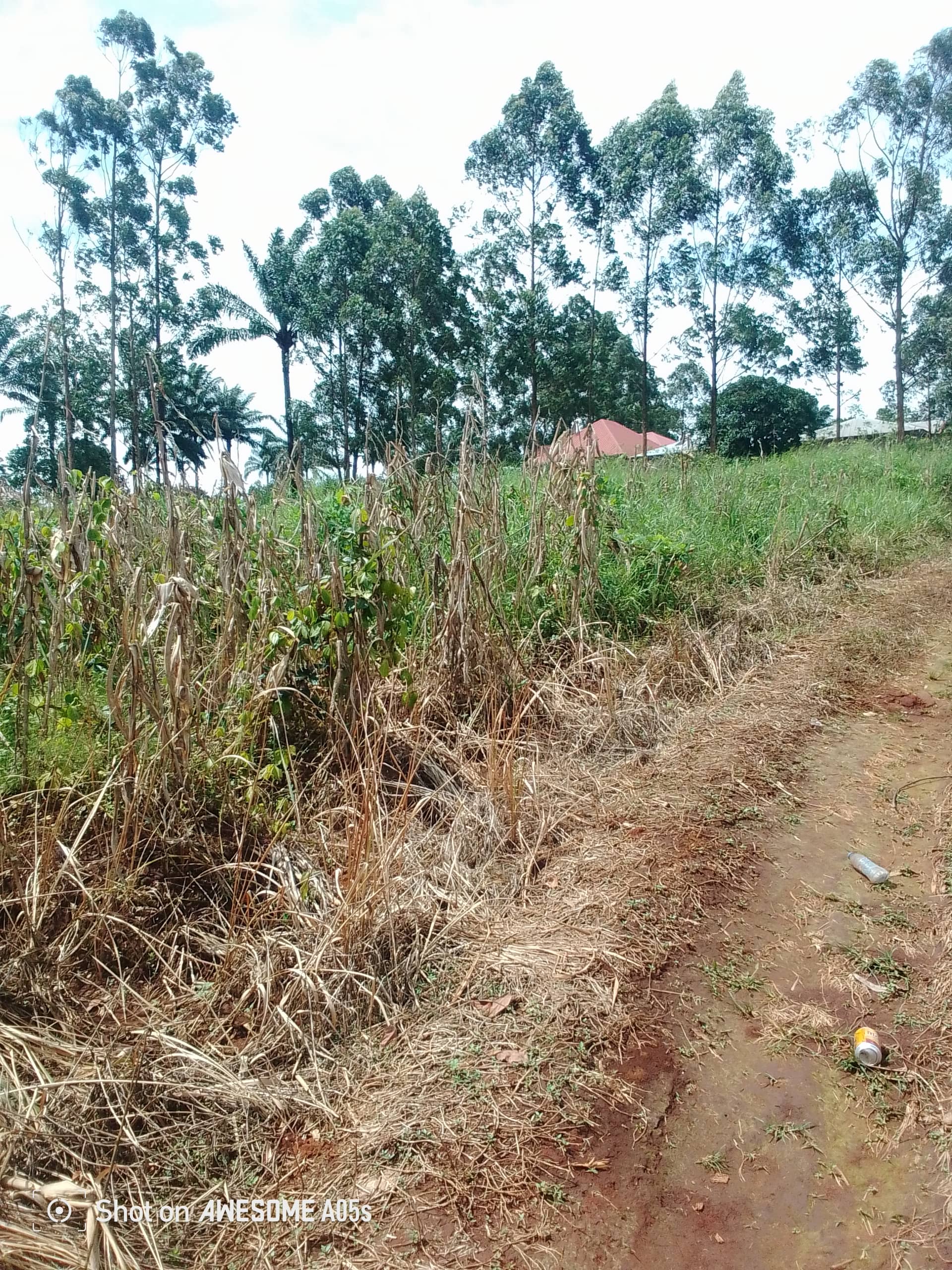 Cheap land for sale at mulang  — photo 7