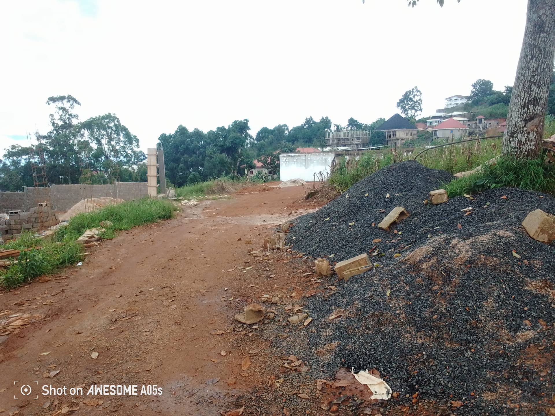 Affordable land for sale at bambili  — photo 2