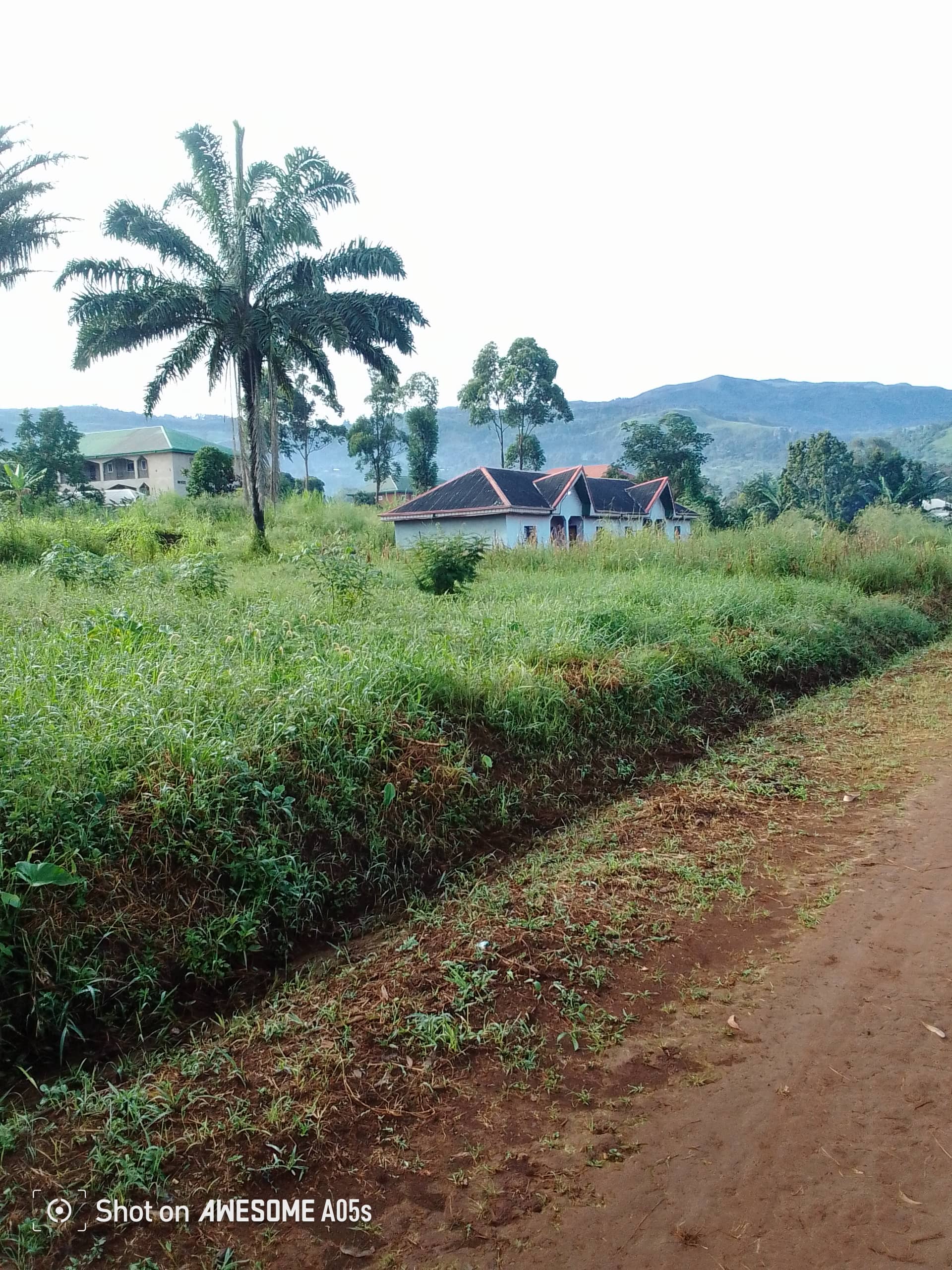 Affordable land for sale at bambili  — photo 3