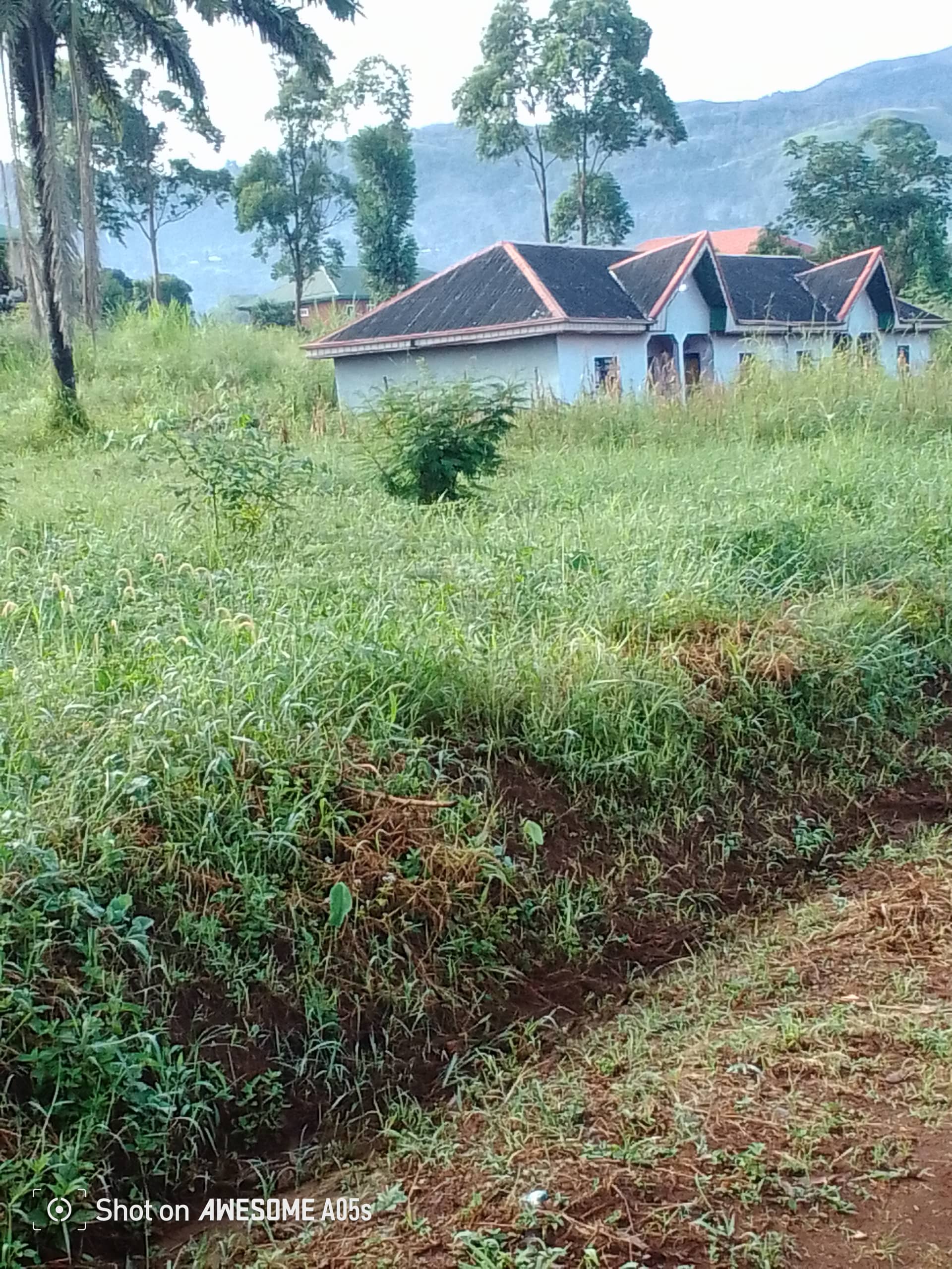 Affordable land for sale at bambili  — photo 4