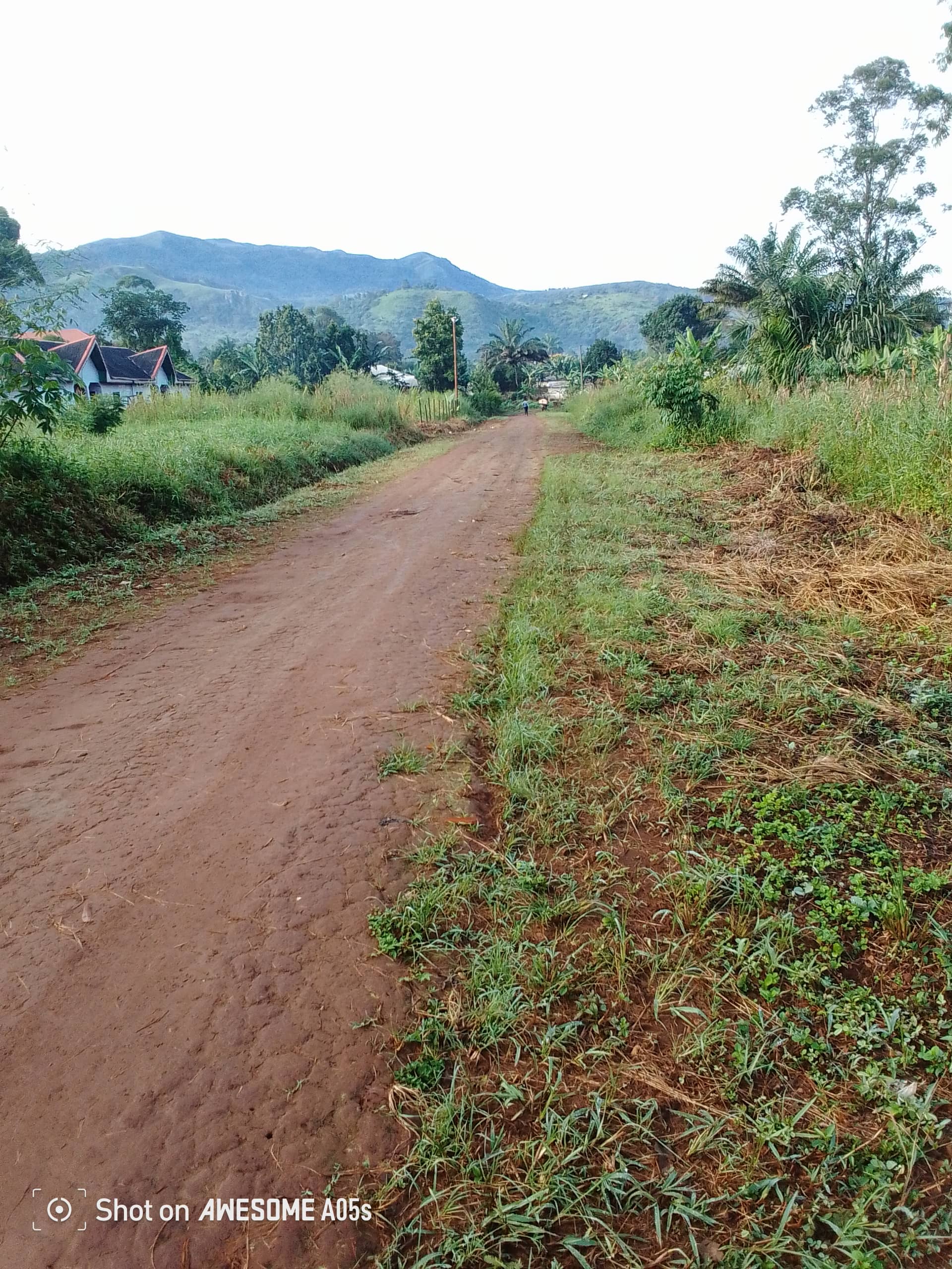 Affordable land for sale at bambili  — photo 6