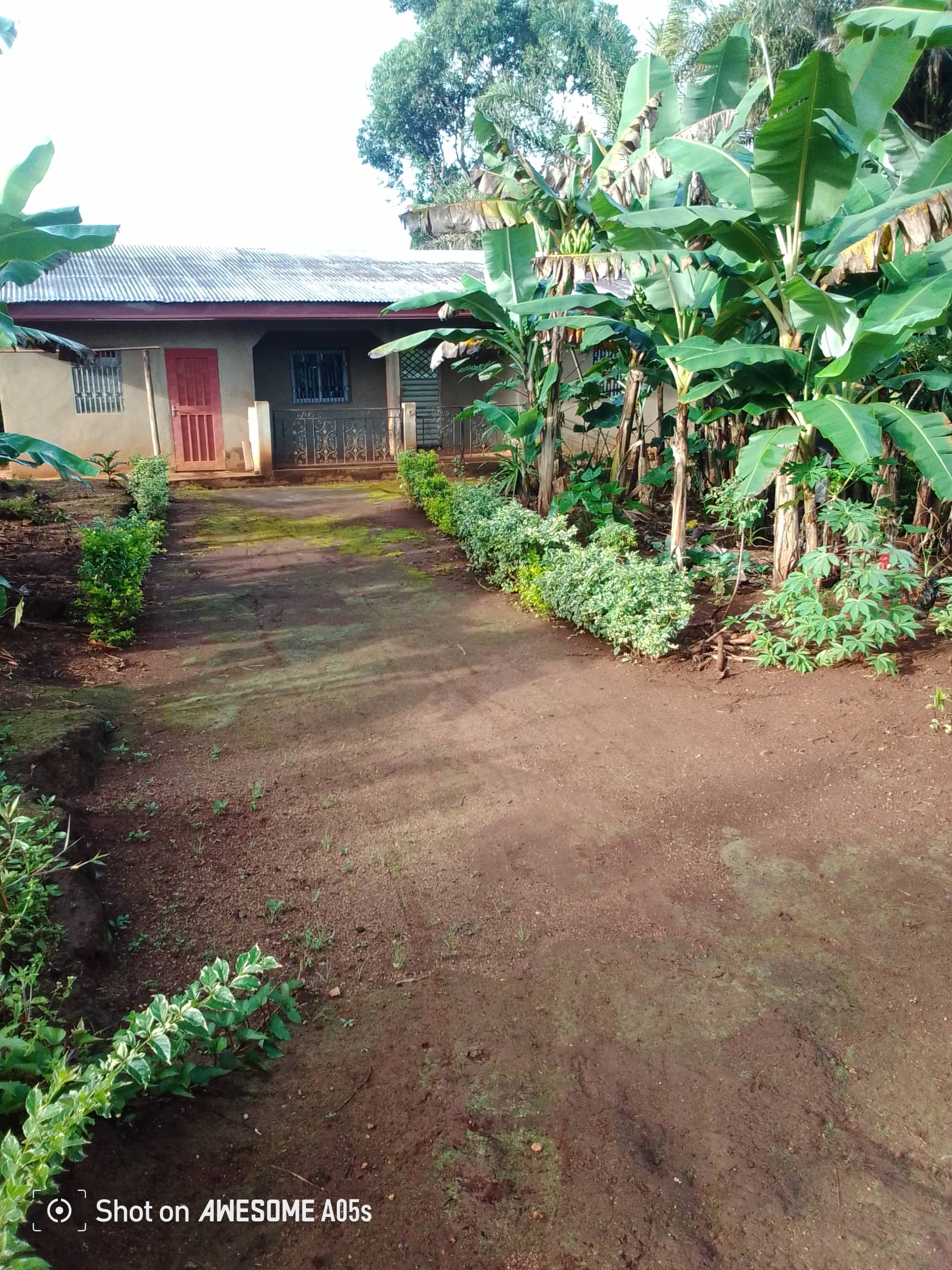 Affordable land for sale at bambili 