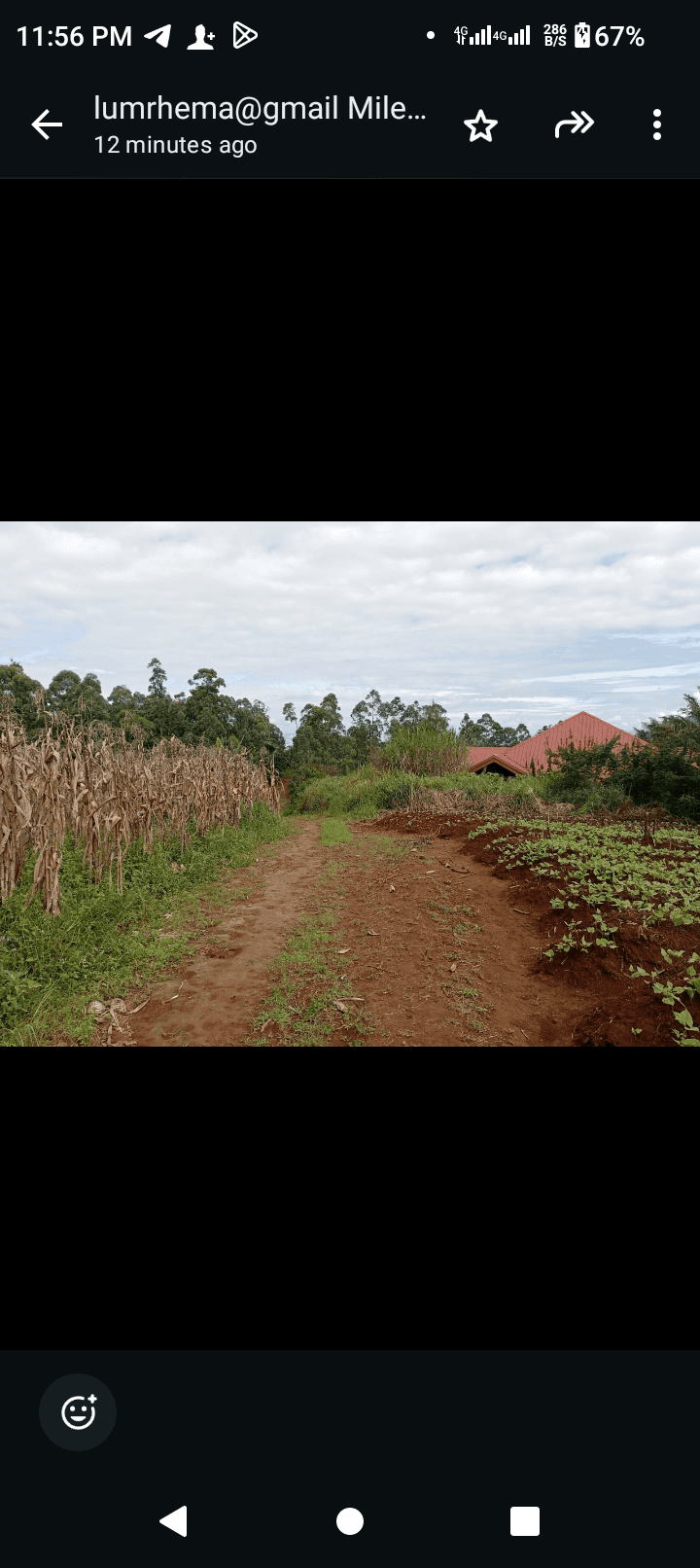 Affordable land at bambili  — photo 2