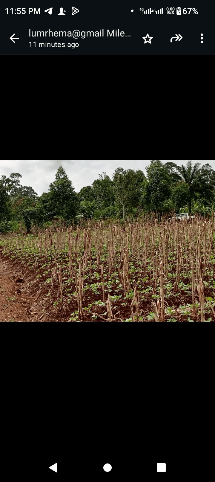 Affordable land at bambili  — photo 4