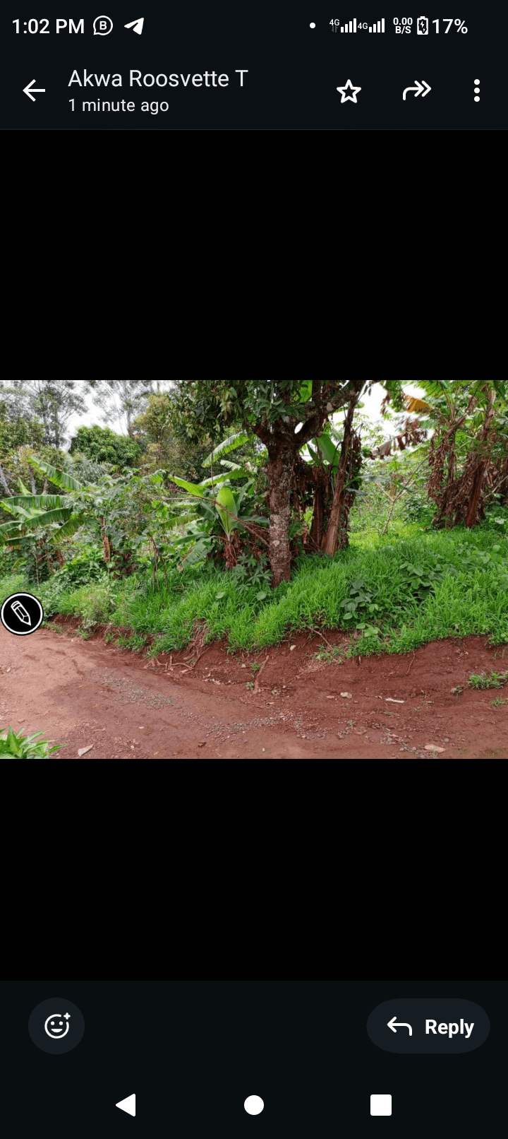Affordable land at bambili 
