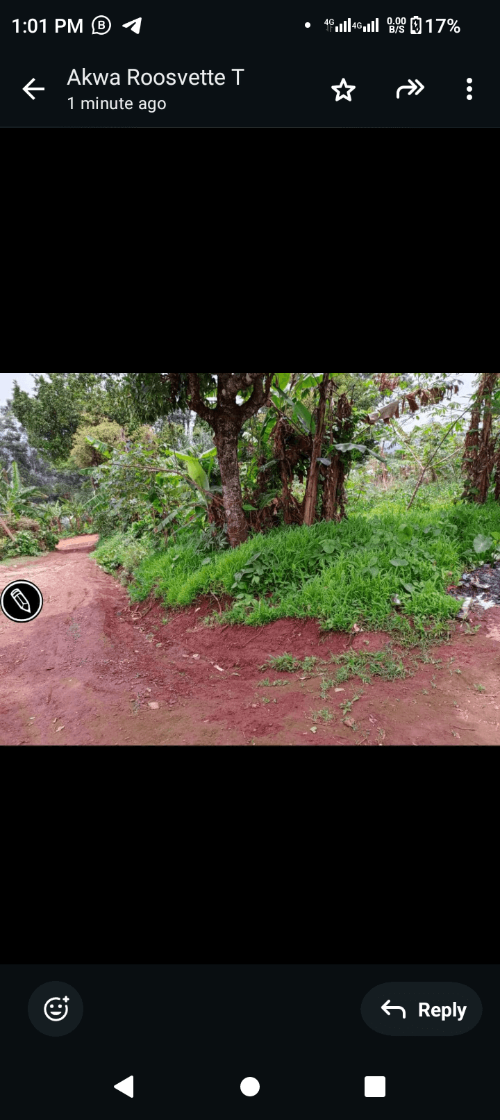 Affordable land at bambili  — photo 3