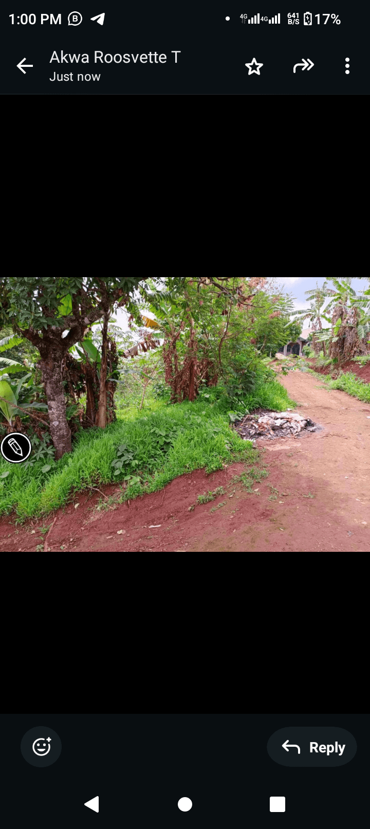 Affordable land at bambili  — photo 5
