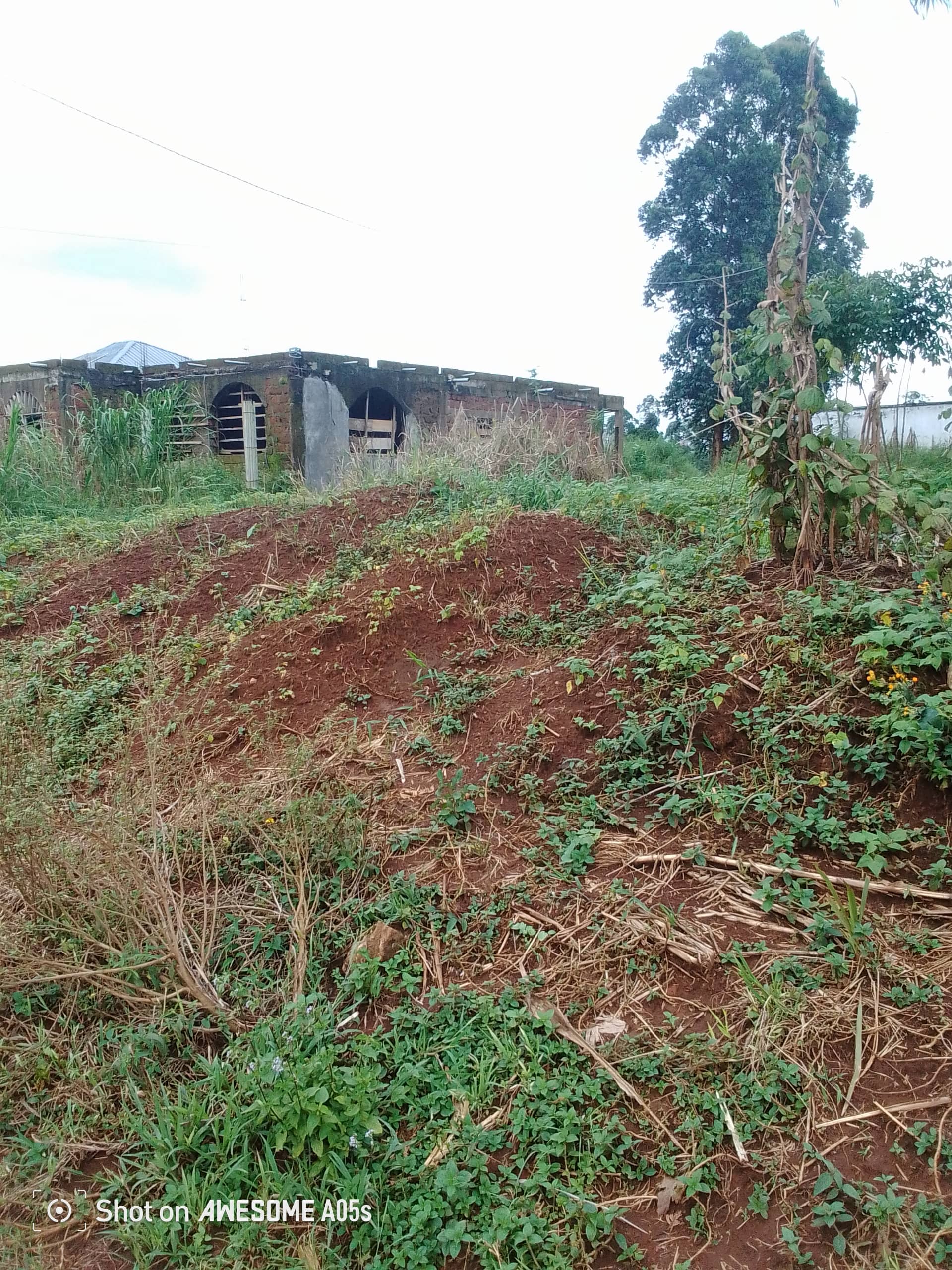 Affordable land at mile4 