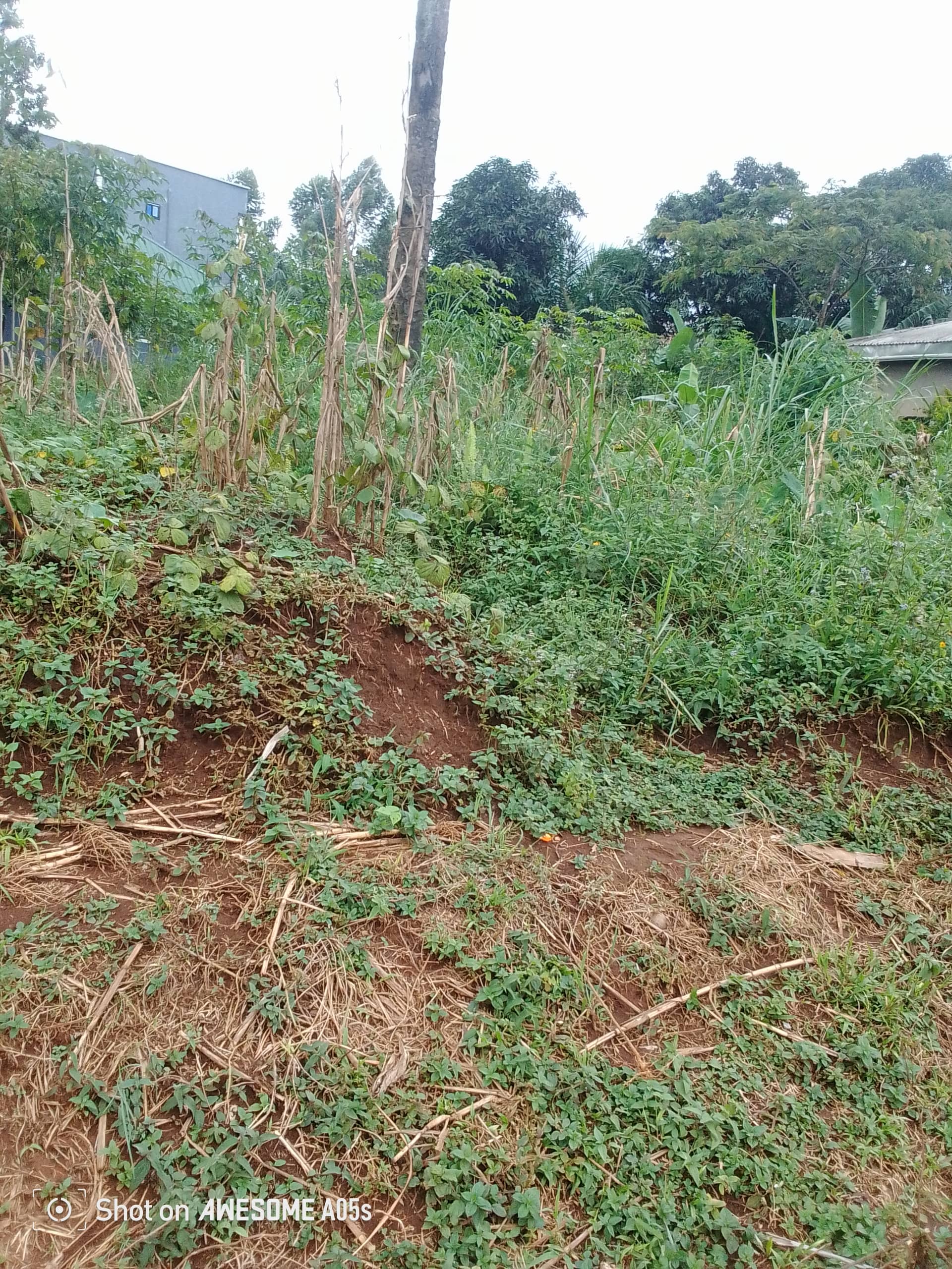 Affordable land at mile4  — photo 3