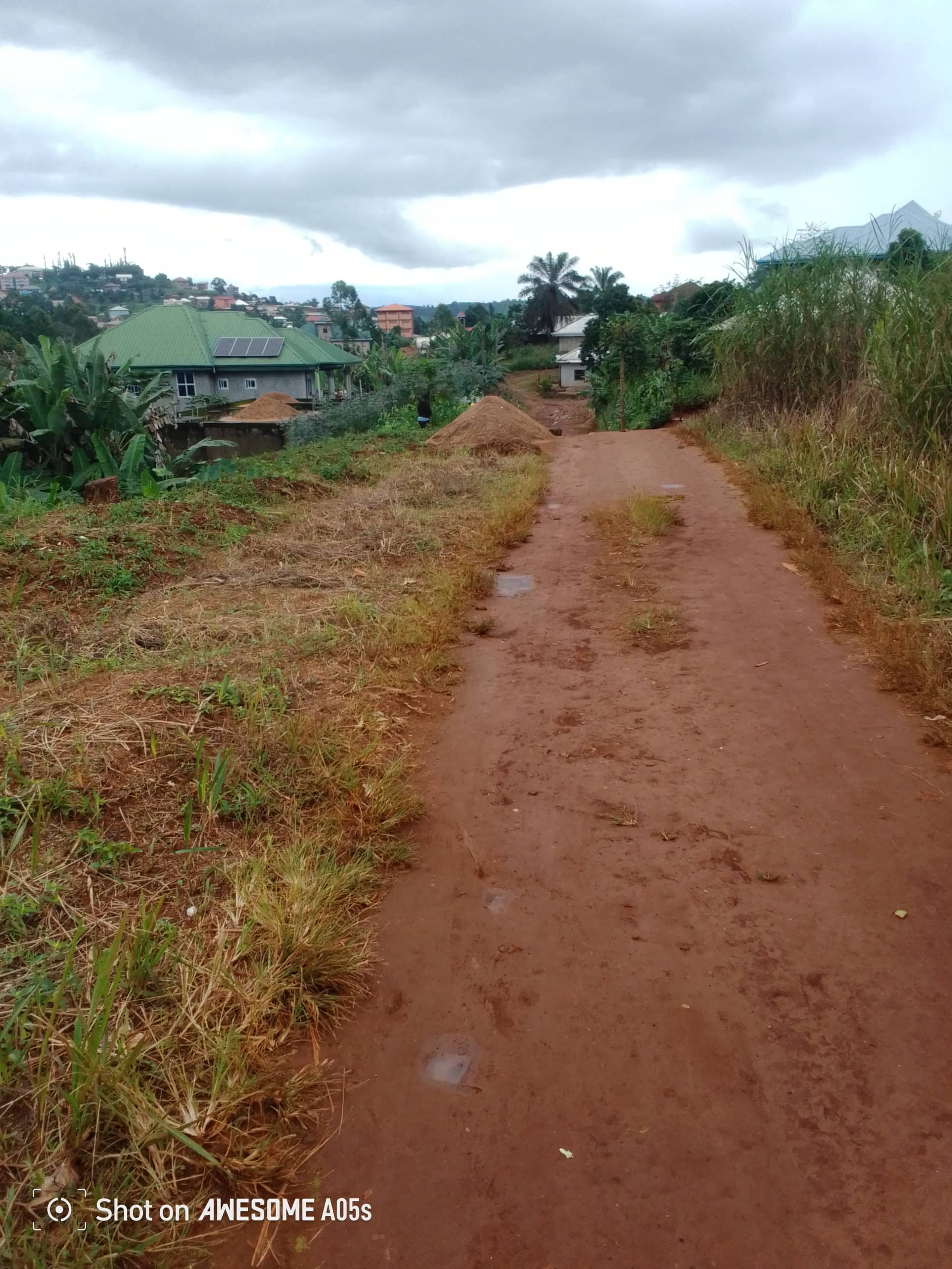 Cheap land at mile 4 