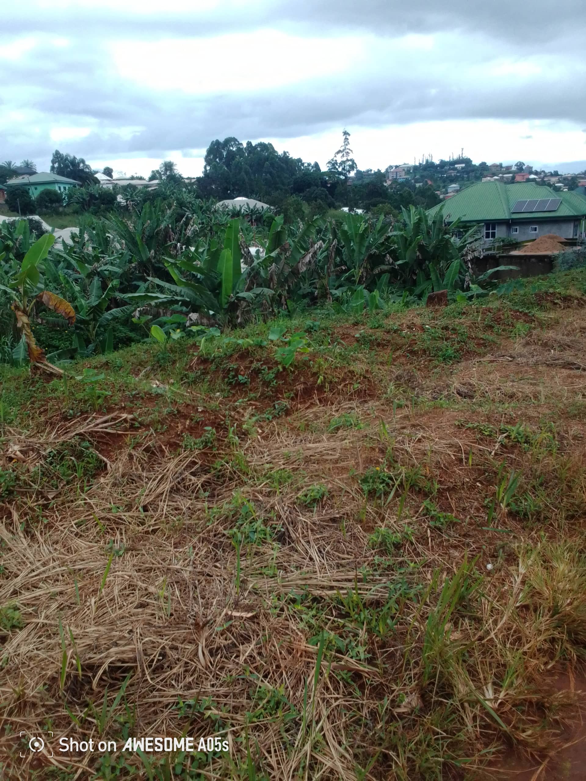 Cheap land at mile 4  — photo 3