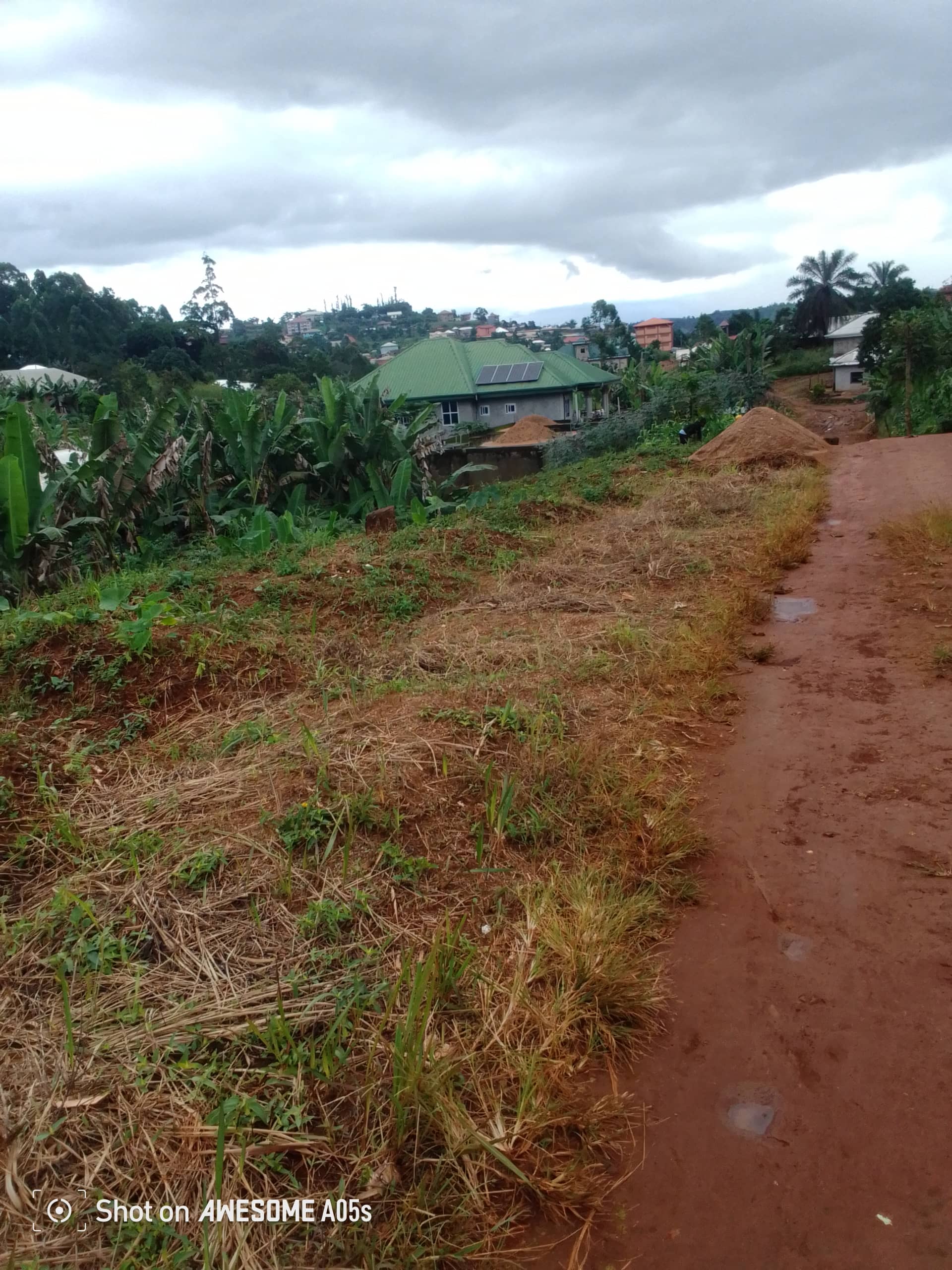 Cheap land at mile 4  — photo 4