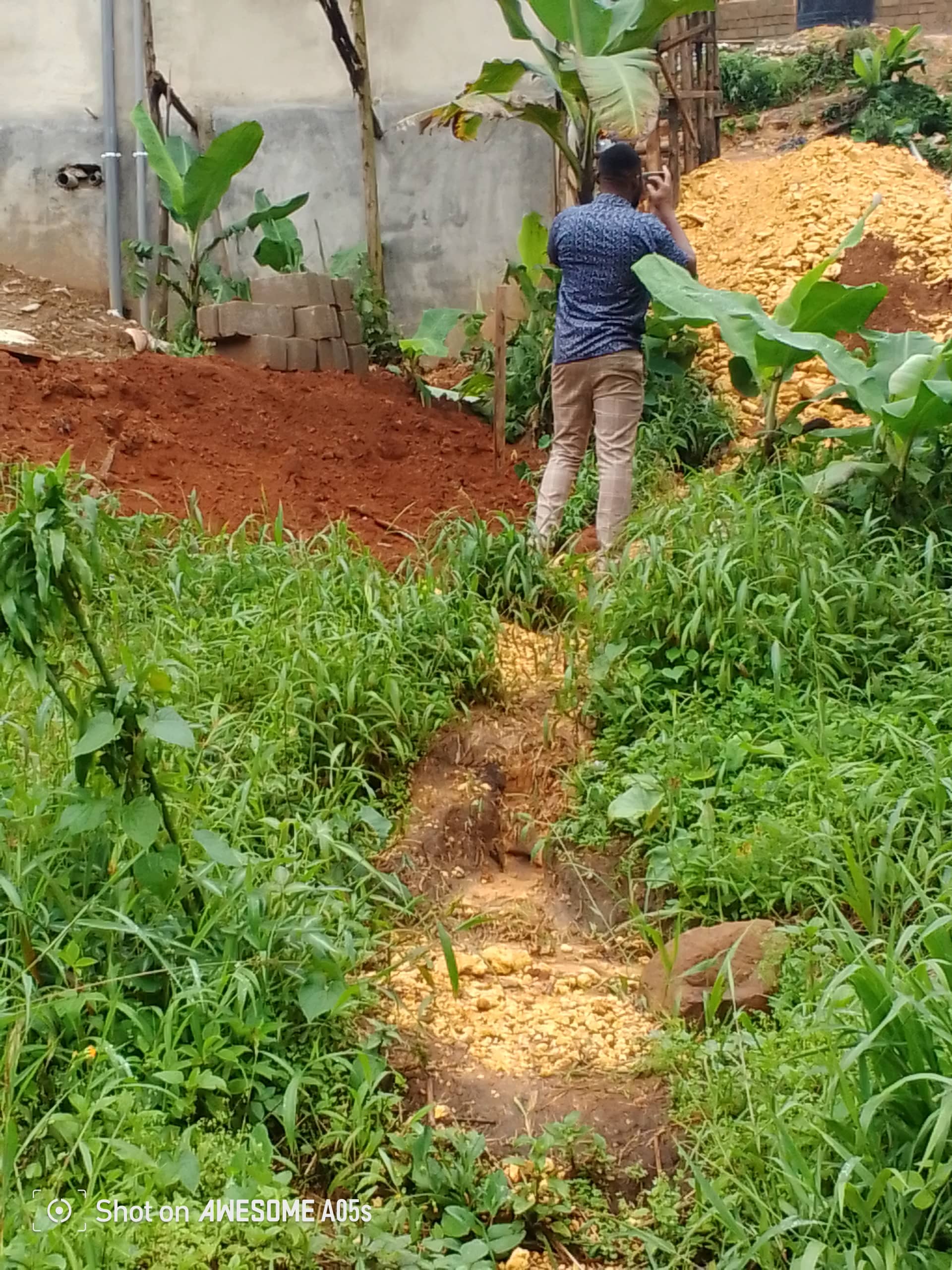 Affordable land at up station bamenda  — photo 5