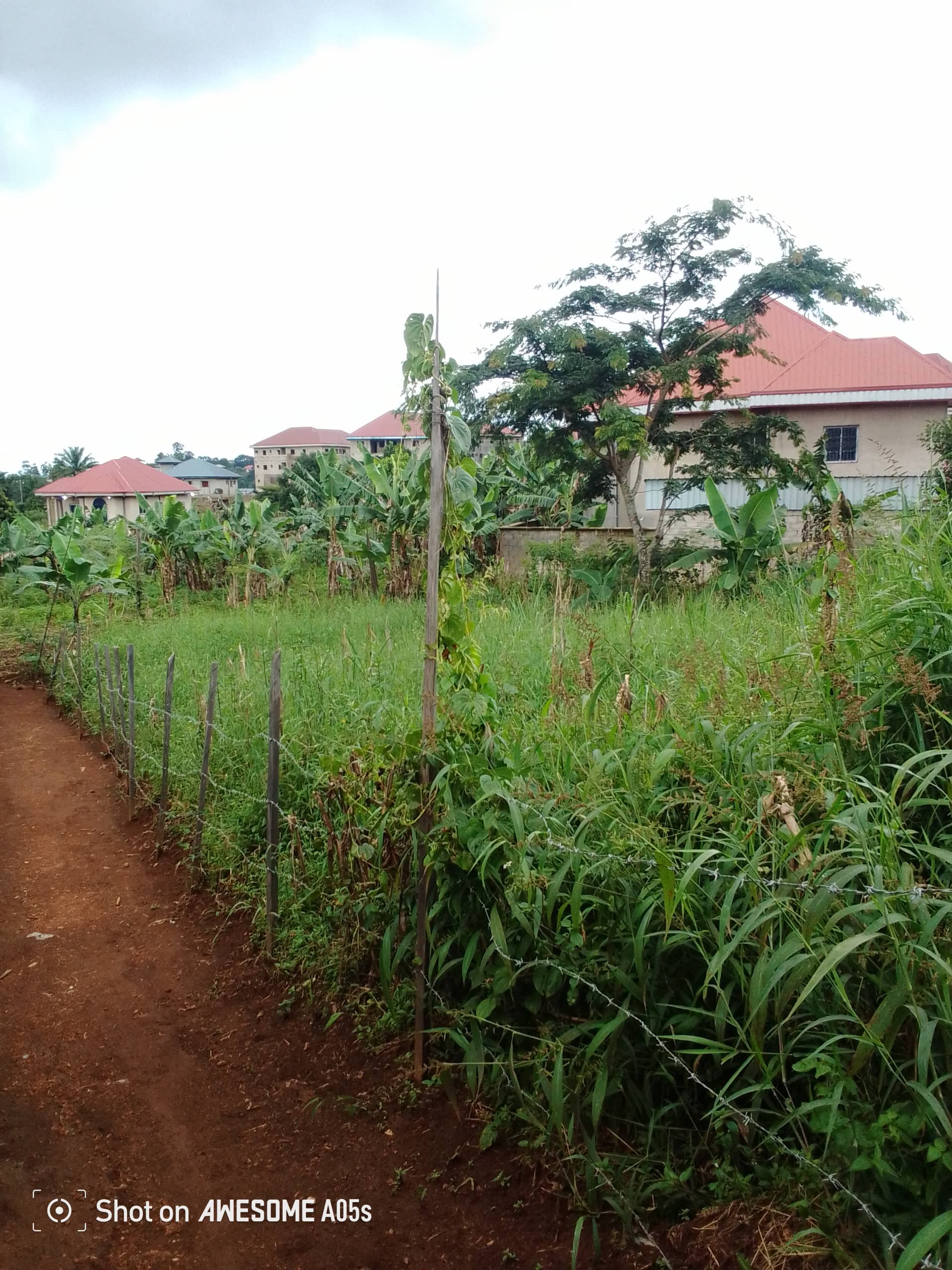 Cheap land at mile 4 