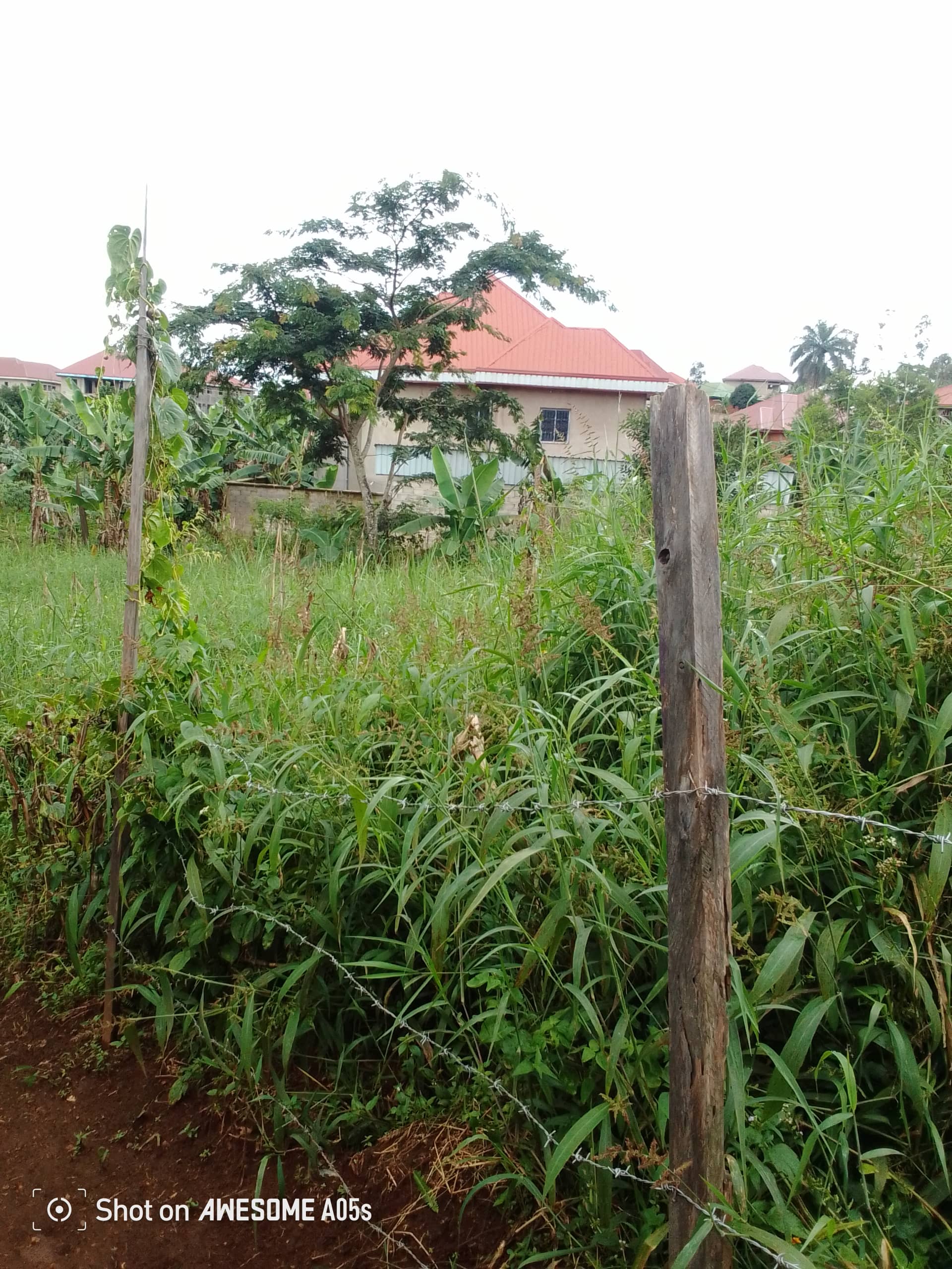 Cheap land at mile 4  — photo 2