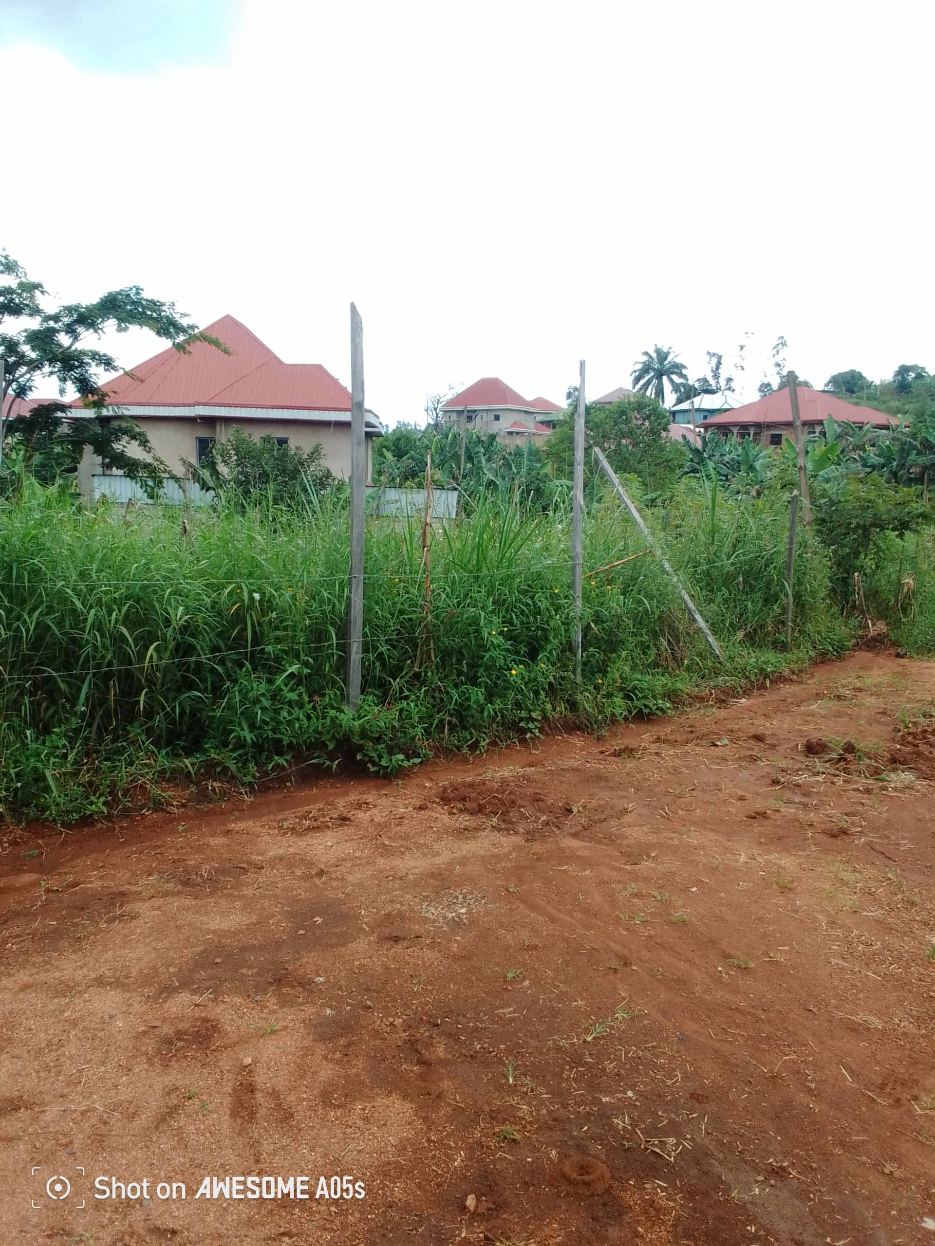 Cheap land at mile 4  — photo 3