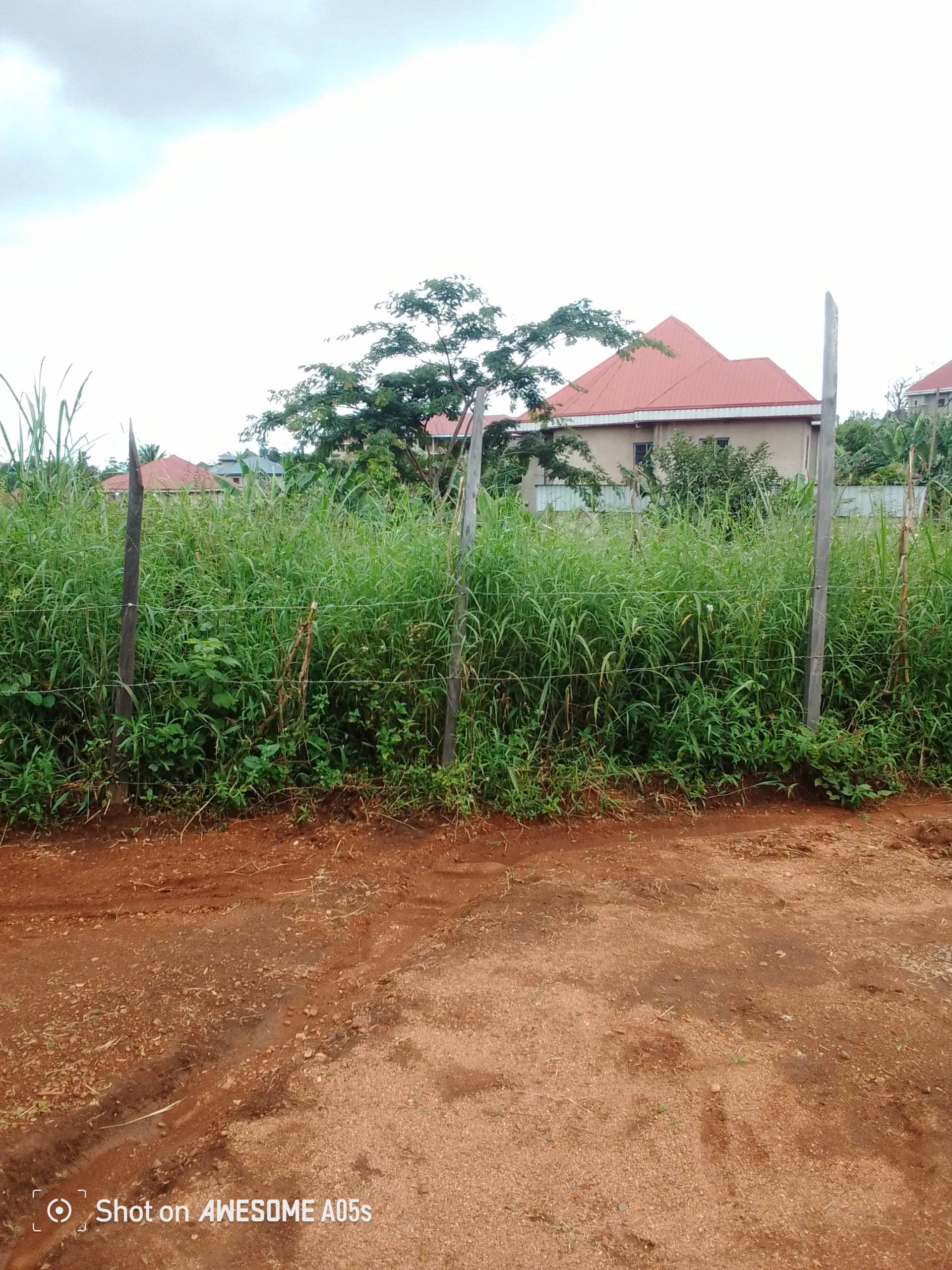 Cheap land at mile 4  — photo 4