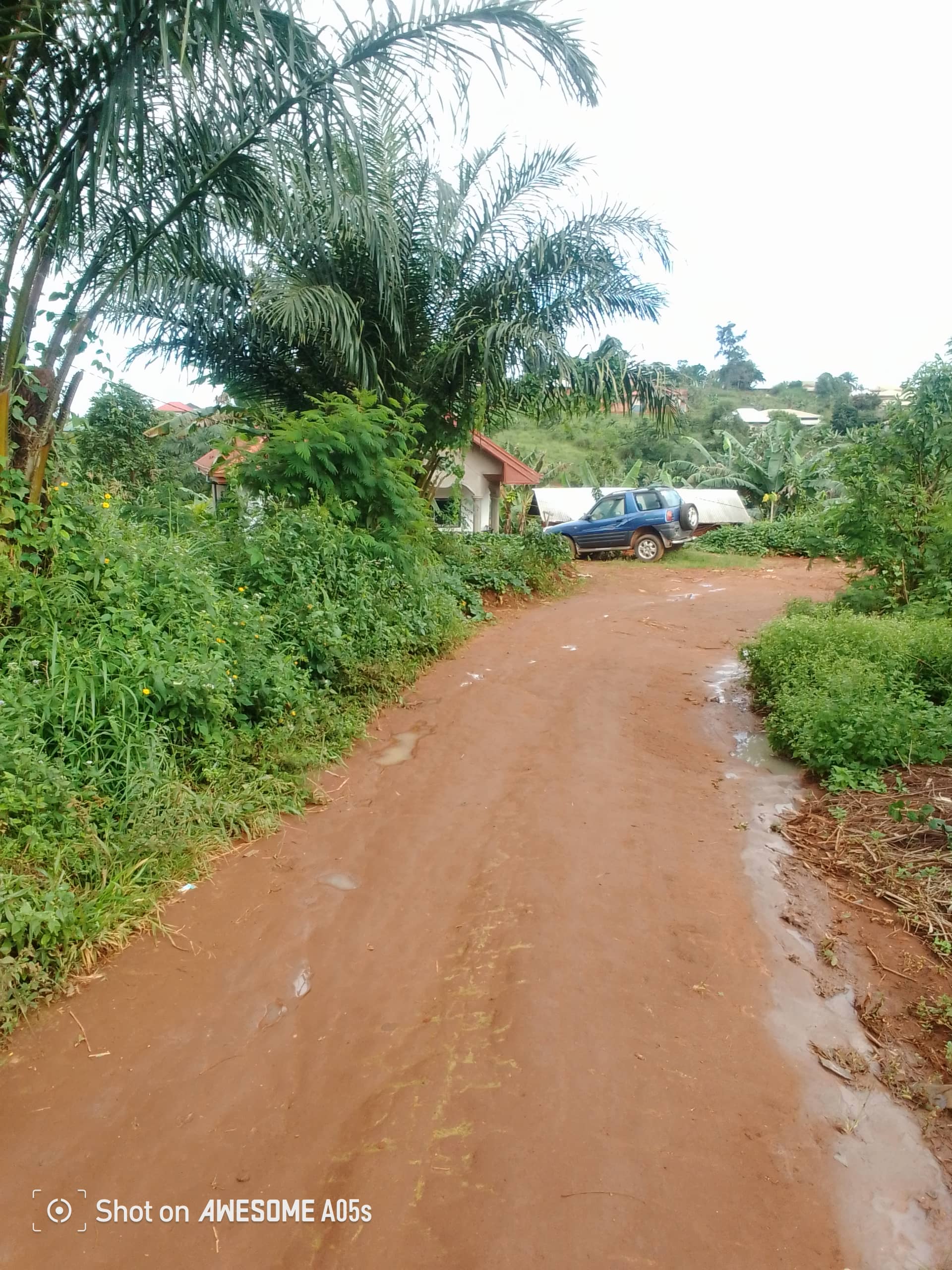 Cheap land at mile 4 
