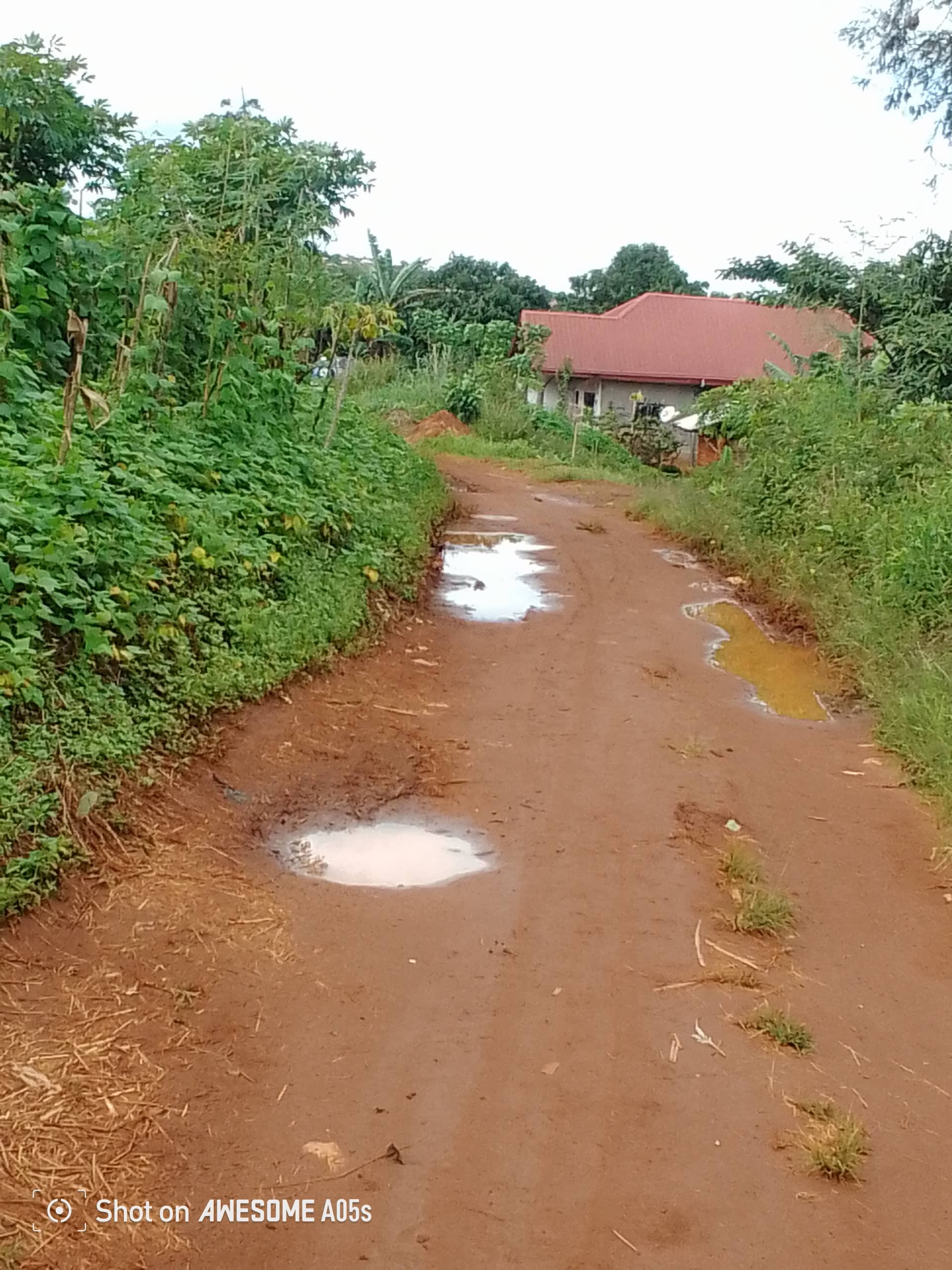 Cheap land at mile 4  — photo 2