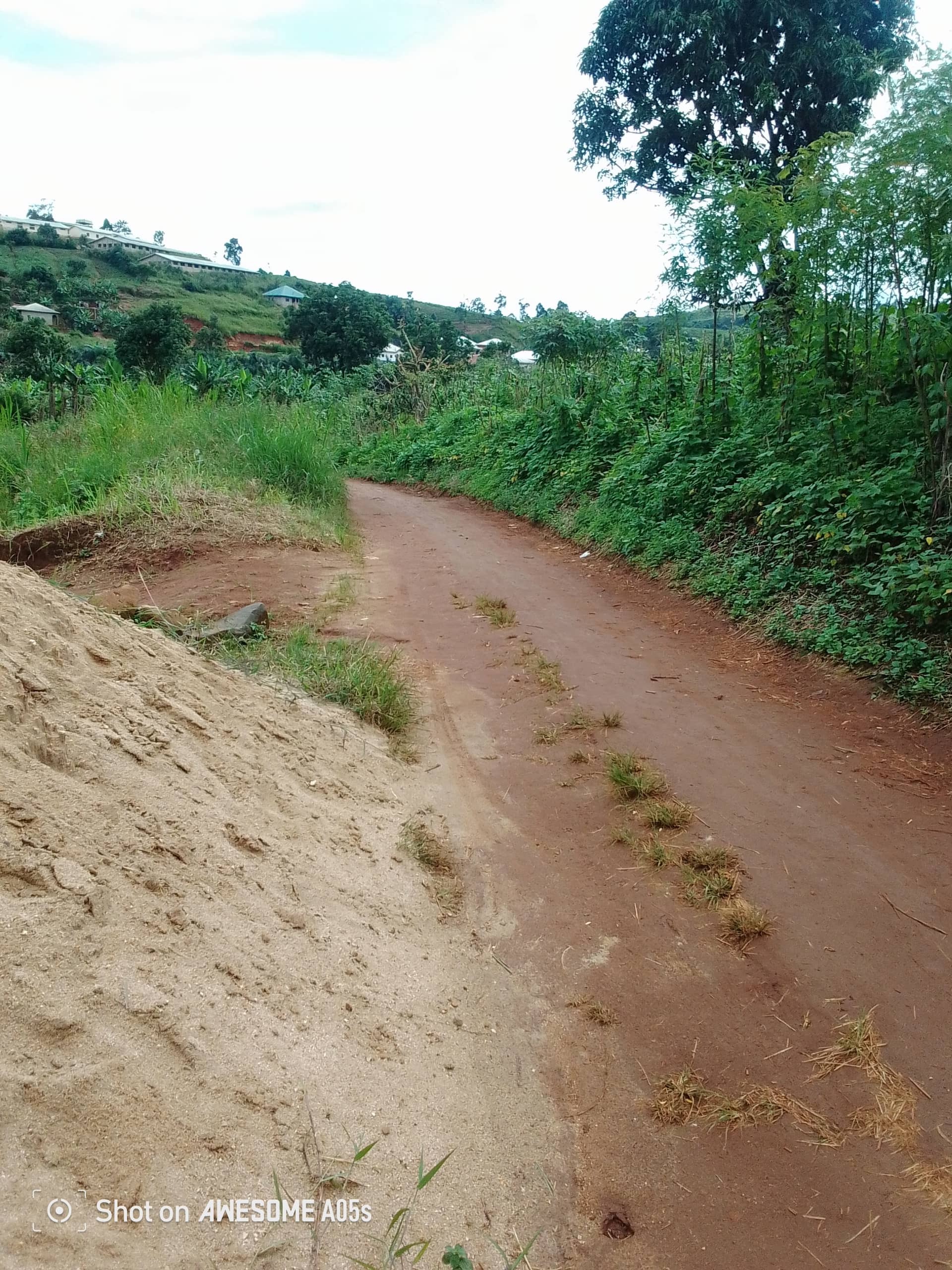 Cheap land at mile 4  — photo 3