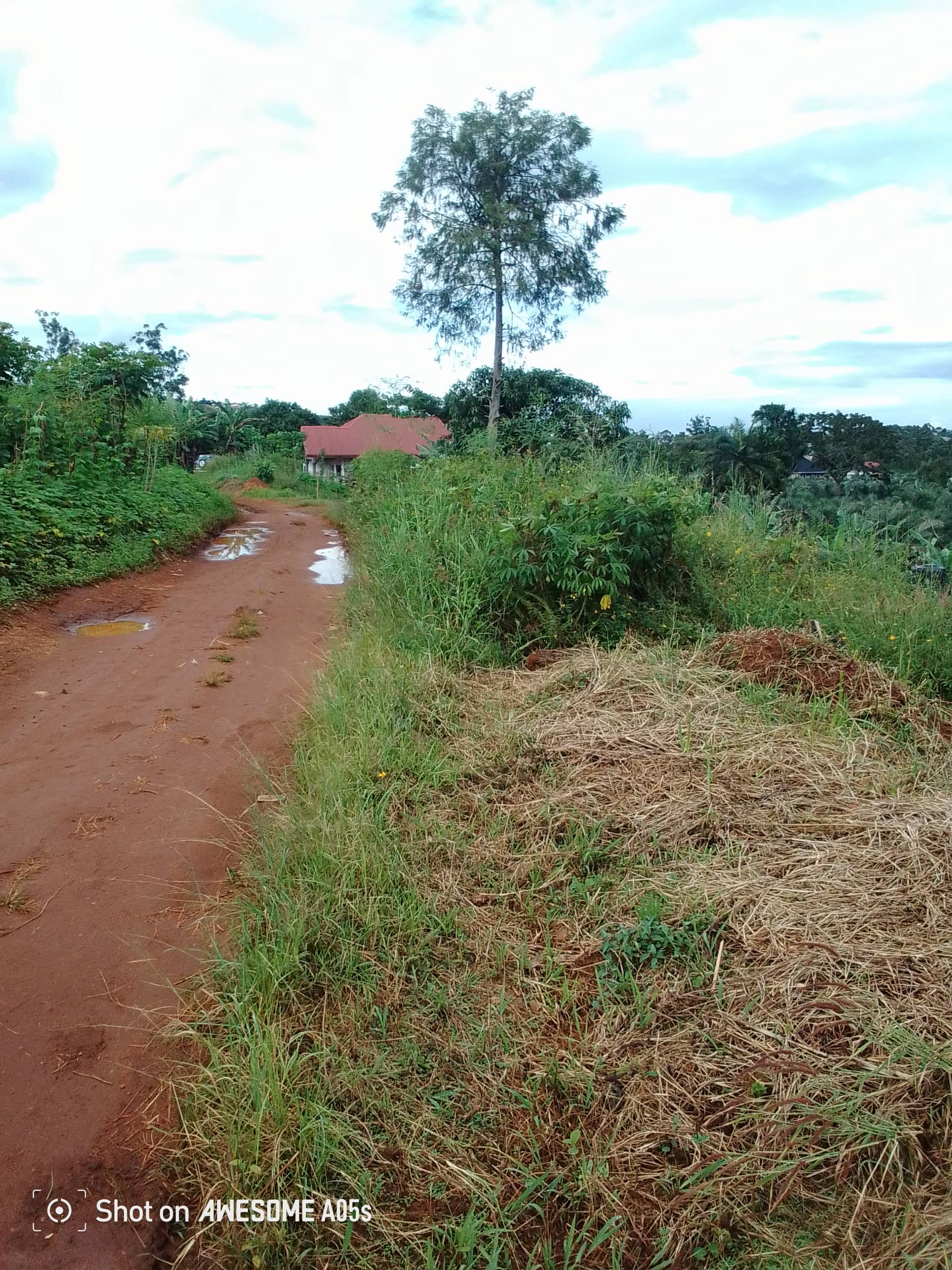 Cheap land at mile 4  — photo 4