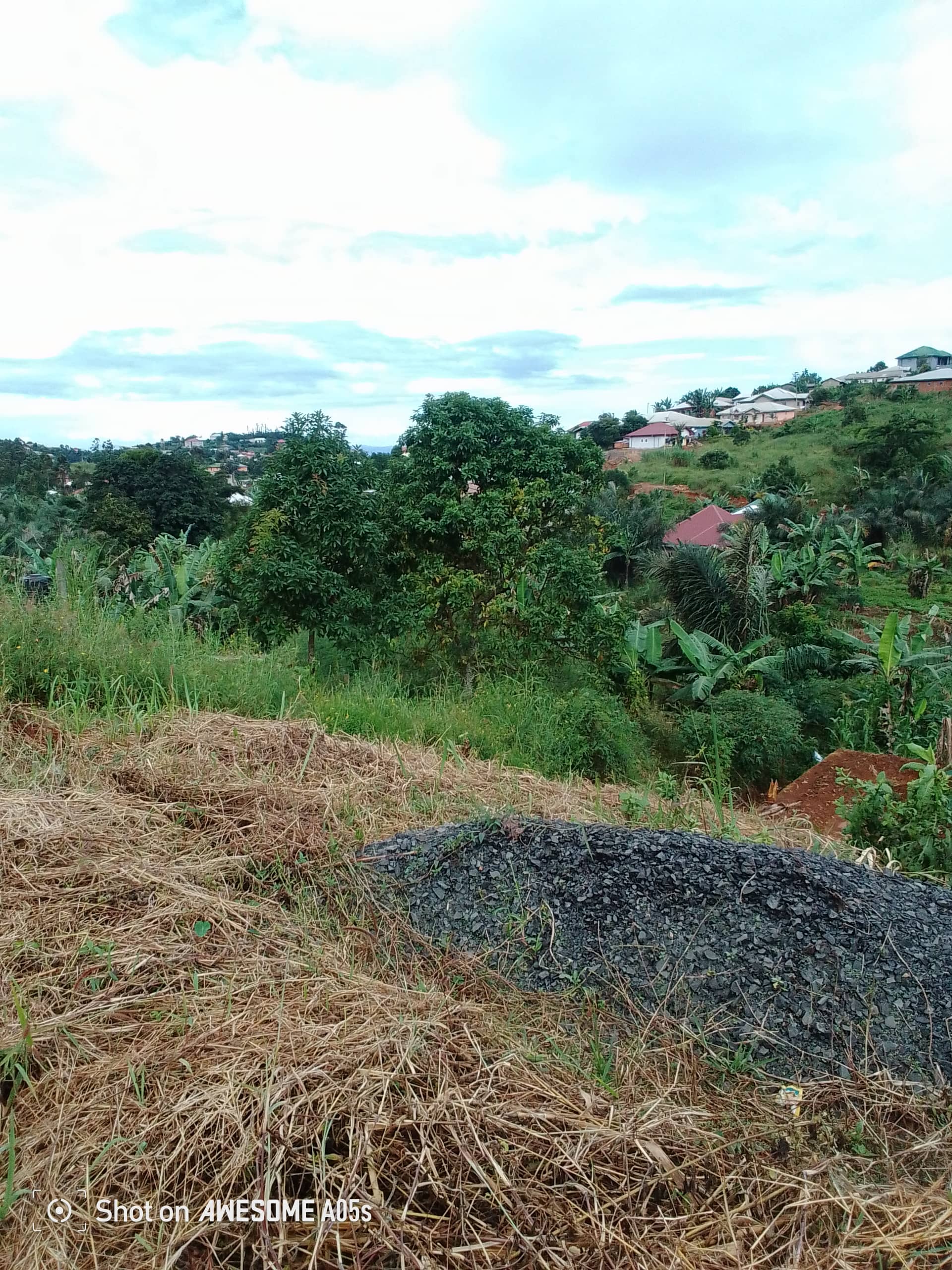 Cheap land at mile 4  — photo 5