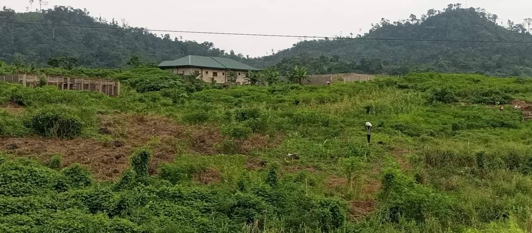 1905m² land for sale at Bimbia 