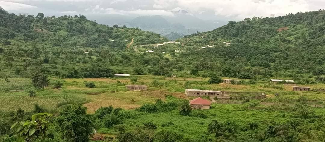 1905m² land for sale at Bimbia  — photo 3