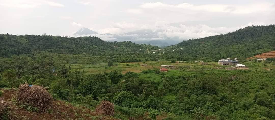 1905m² land for sale at Bimbia  — photo 4