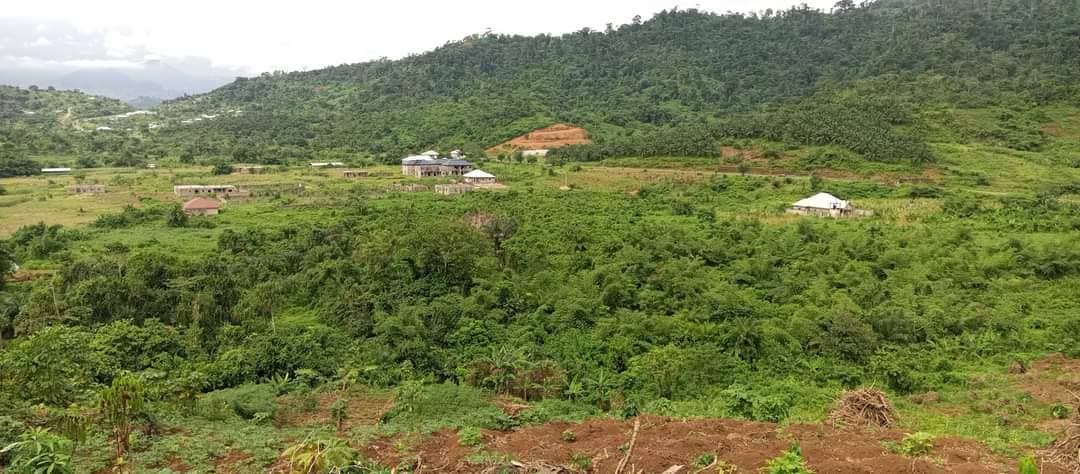 1905m² land for sale at Bimbia  — photo 5