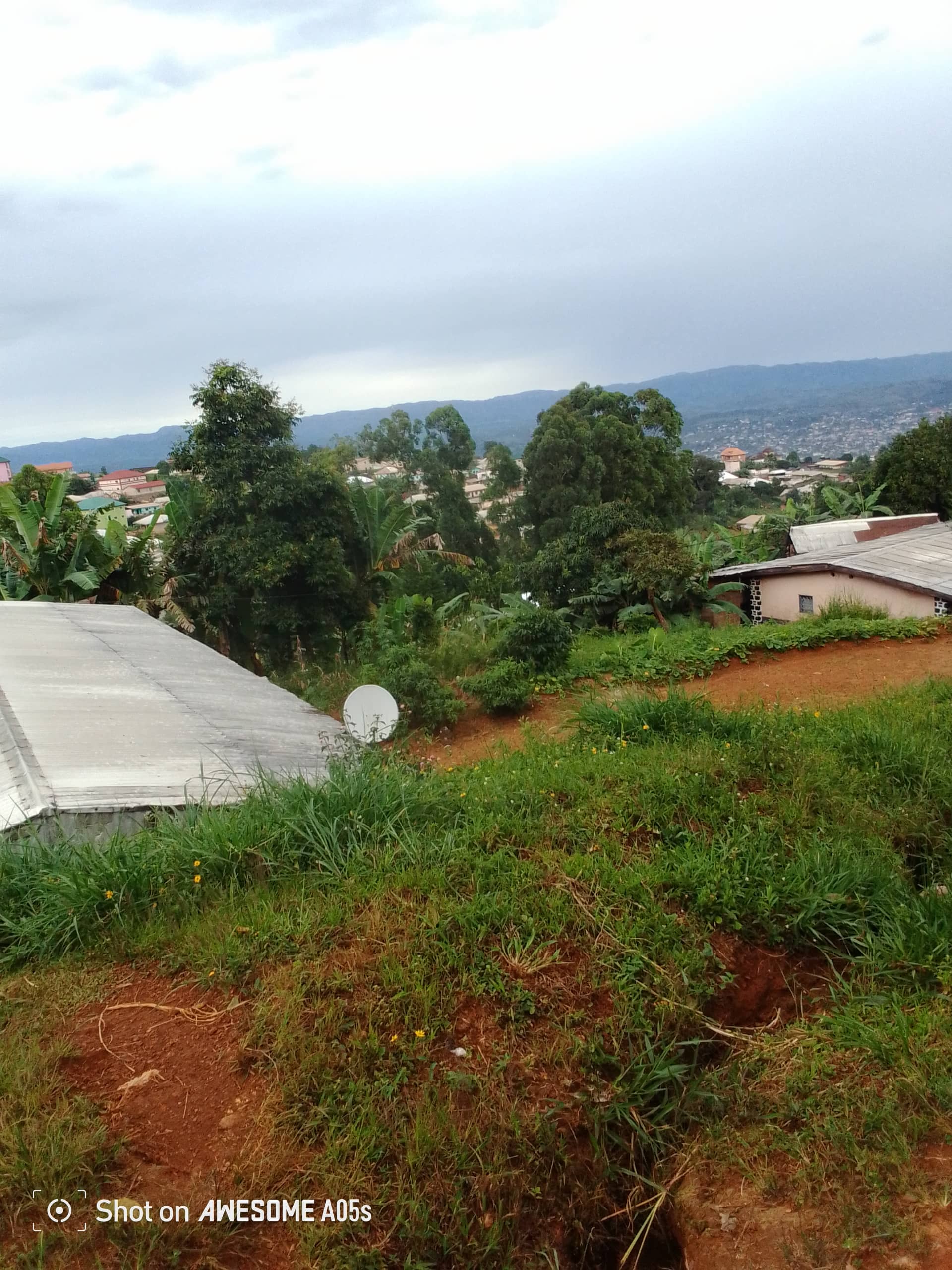 Affordable plots at up station bamenda 
