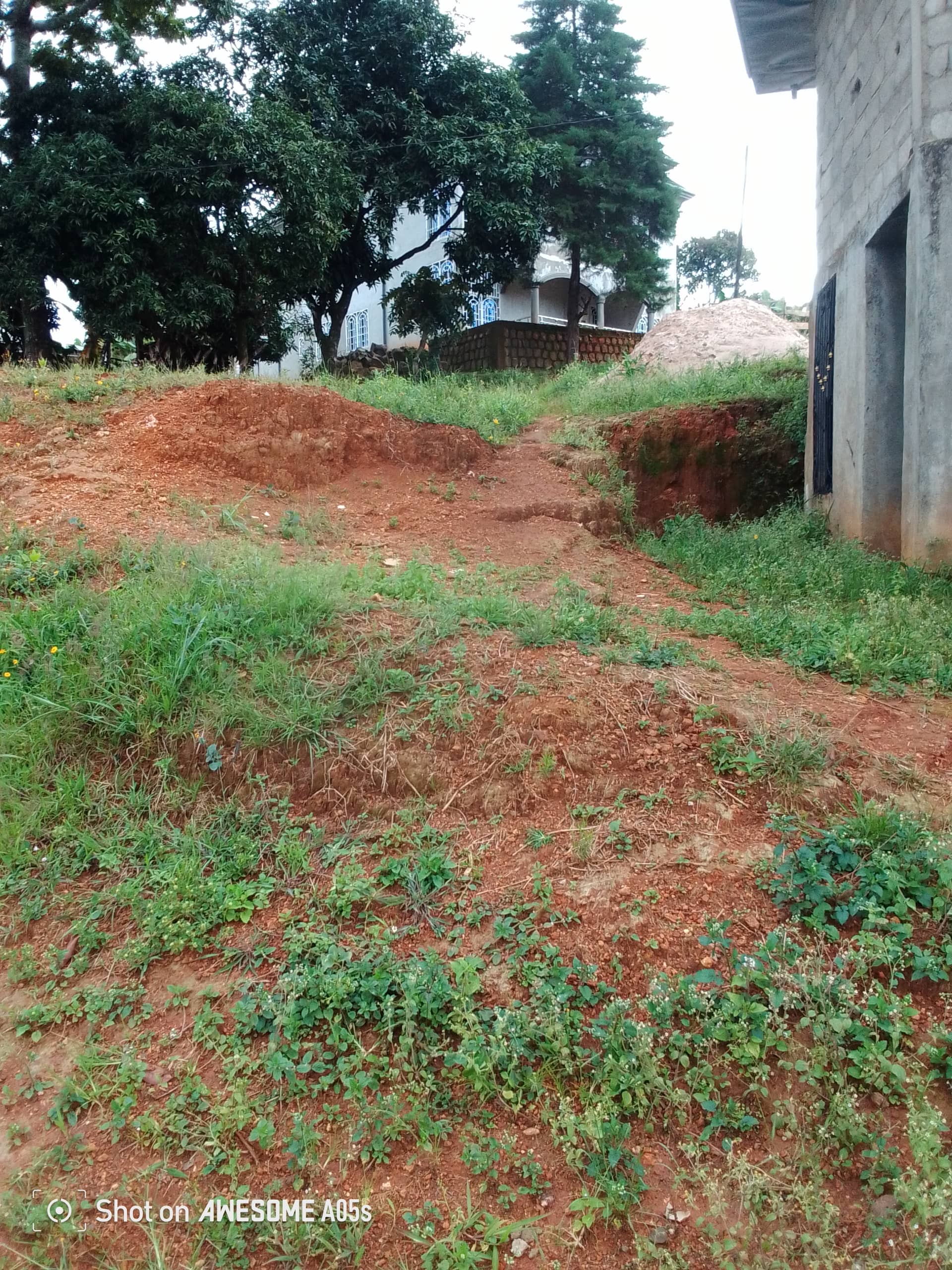 Affordable plots at up station bamenda  — photo 5