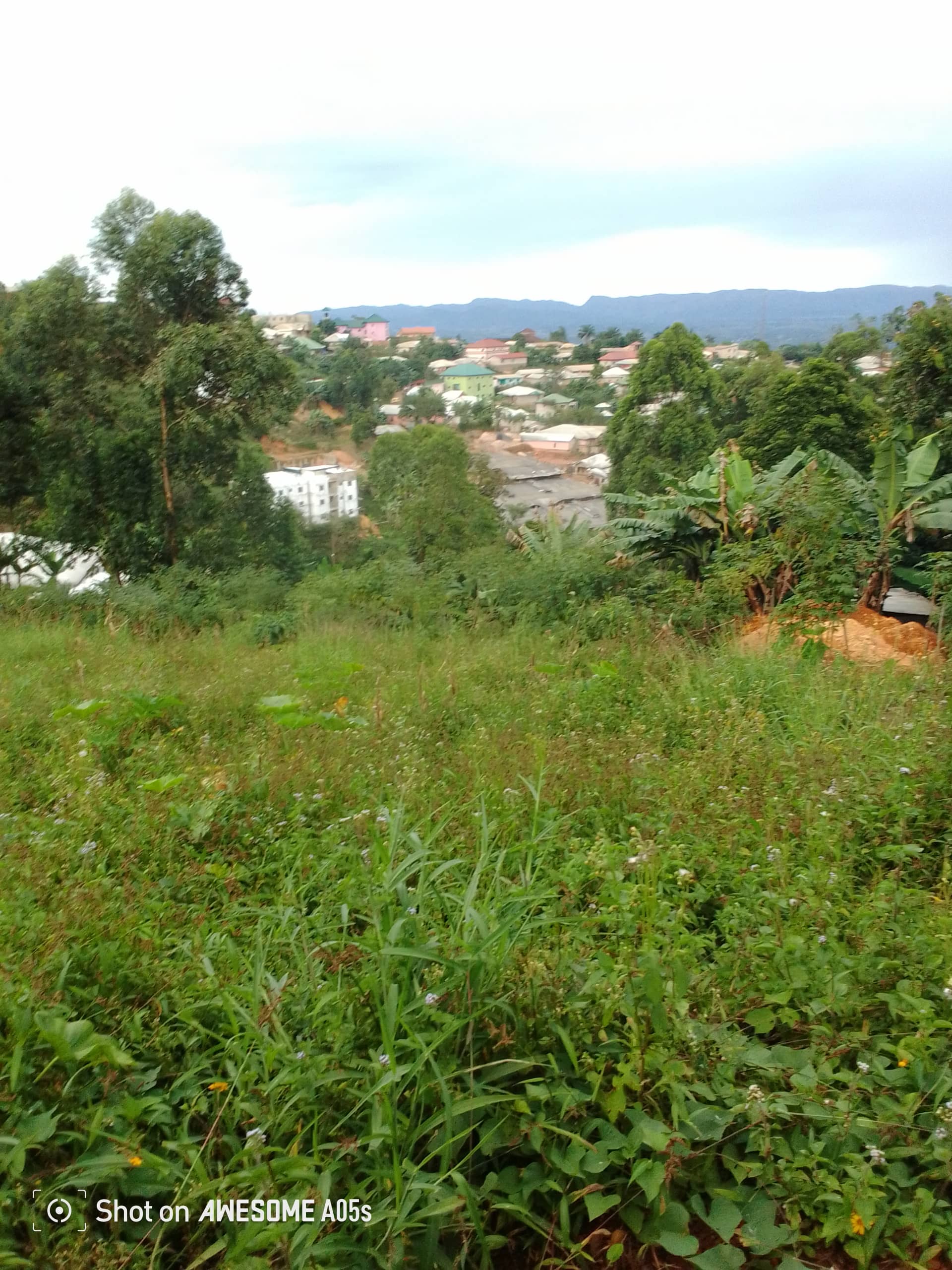 Affordable plots at up station bamenda  — photo 7